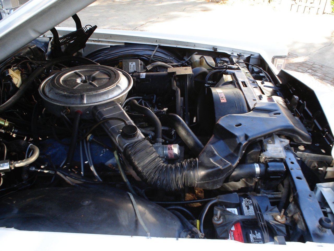Car engine bay showing various engine components, hoses, and batteries.