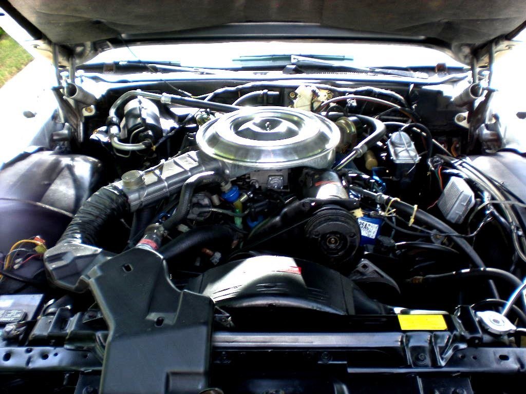 Under the hood of a car showing the engine and various mechanical components.