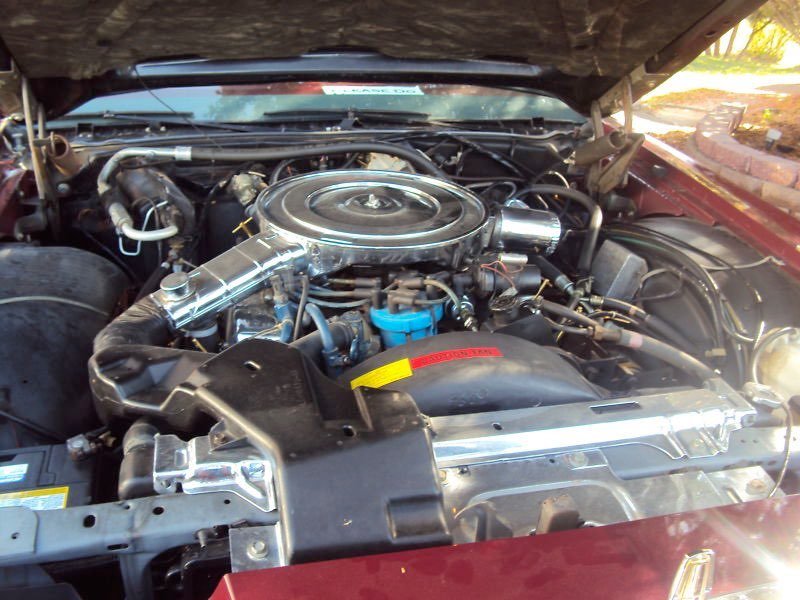 Engine of a car with polished metal components and black hoses in a vintage vehicle with a red exterior.