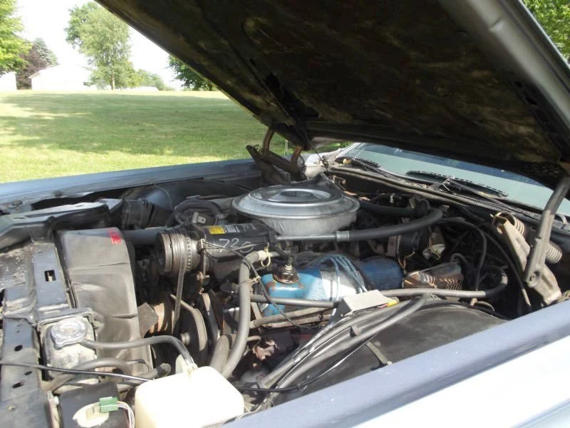 Open car hood revealing the engine and mechanical components inside the engine bay, with grass and trees in the background.