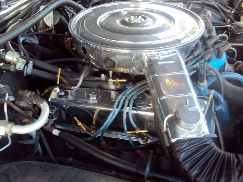 Close-up of a classic car engine with a chrome air cleaner, valve covers, and blue spark plug wires.