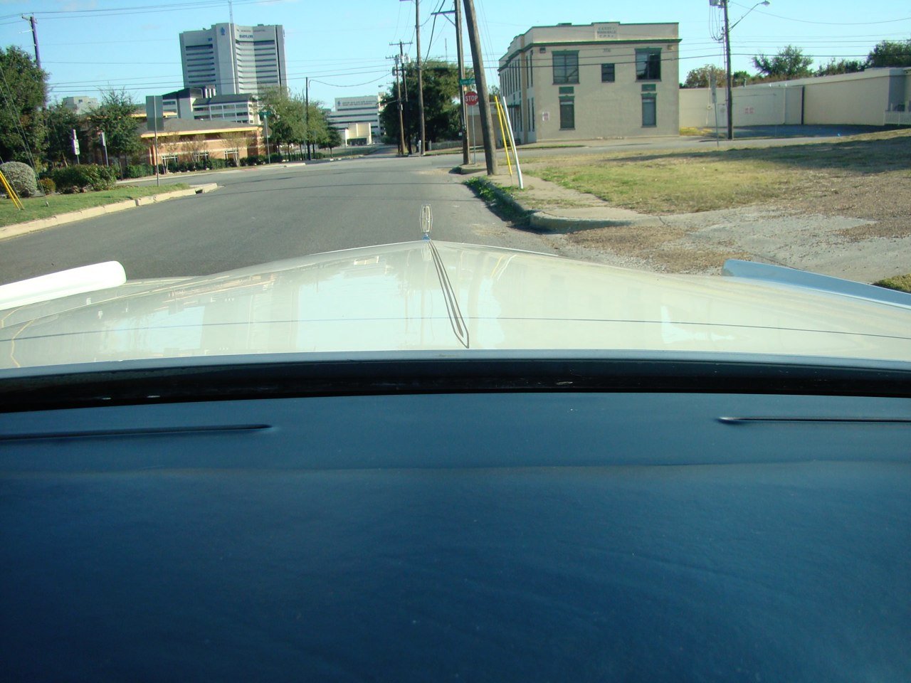 DSC01885.jpg