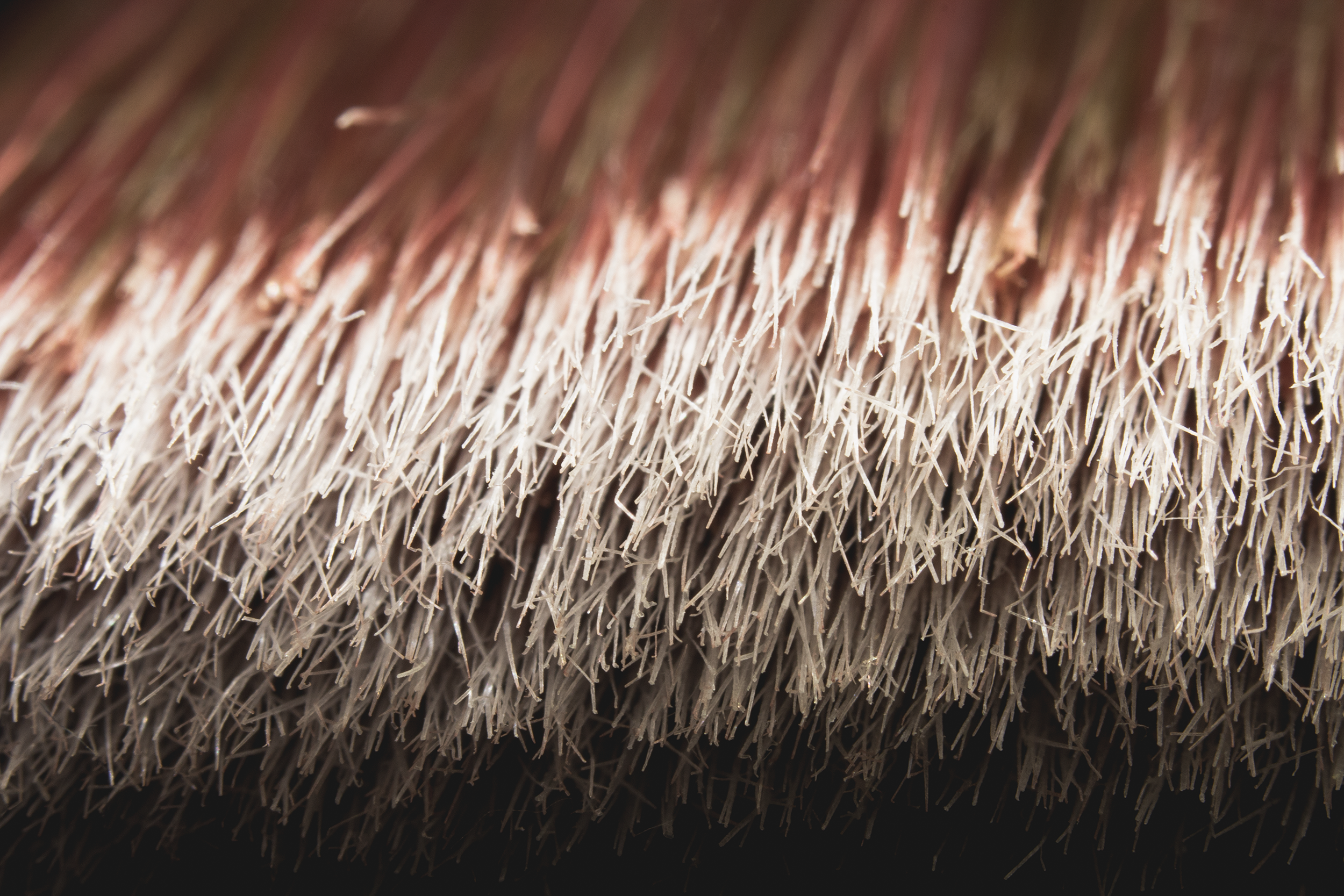 Close-up of worn paintbrush bristles.