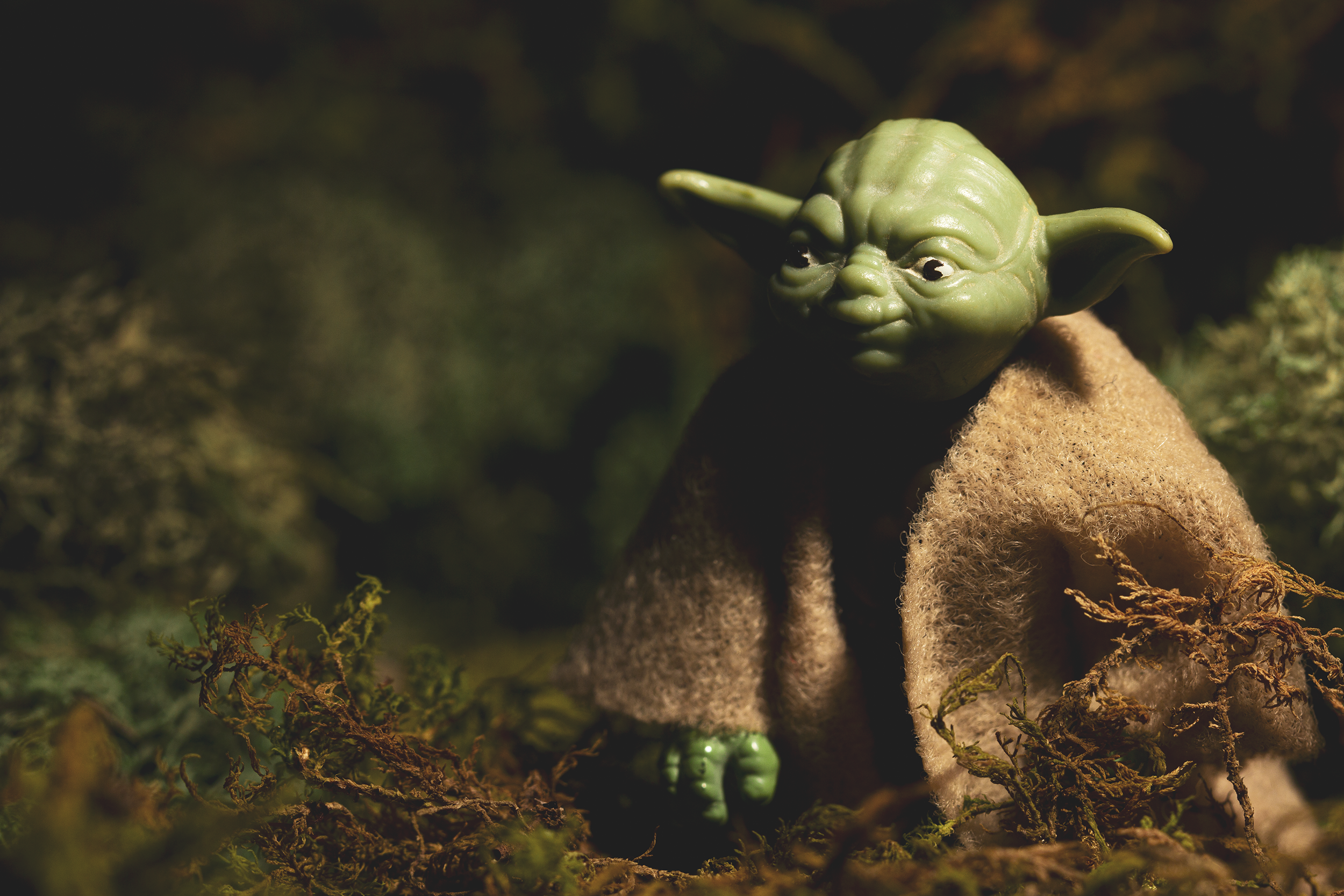 Close-up of a Yoda action figure with green skin and large ears, dressed in a tan robe, posed among moss and twigs with a shallow depth of field.