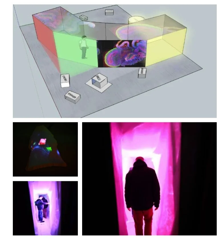 An exhibition setup with colorful light displays and interactive installations. The top image shows a 3D digital diagram of a gallery with curved, colorful walls and screens. The bottom images depict people walking through immersive, glowing pink tunnels, with one person standing inside a tunnel and another walking towards an exit.