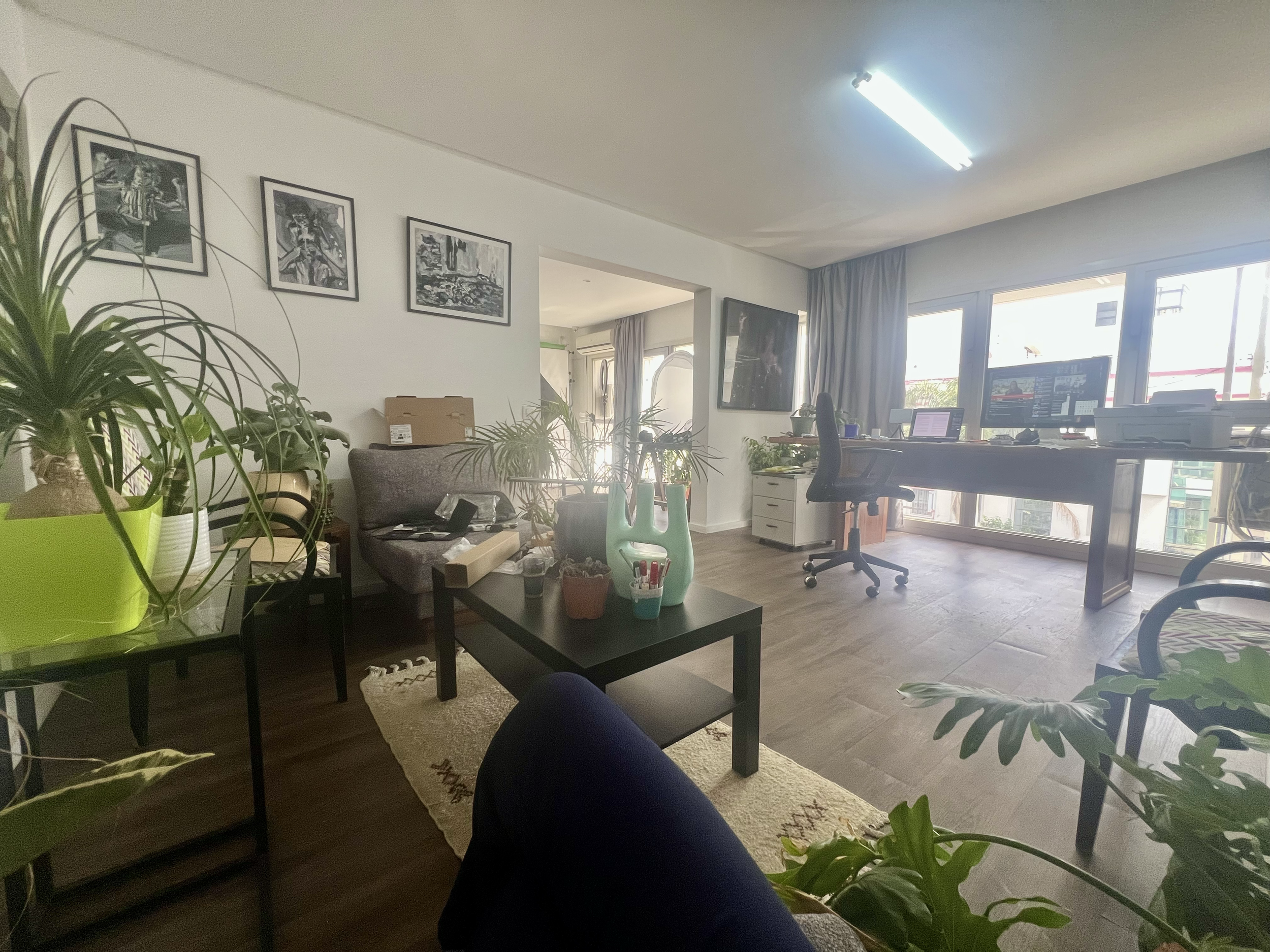 Living room with plants, black coffee table, gray couch, artwork on the wall, a desk with a computer, office chair, and large windows with curtains.