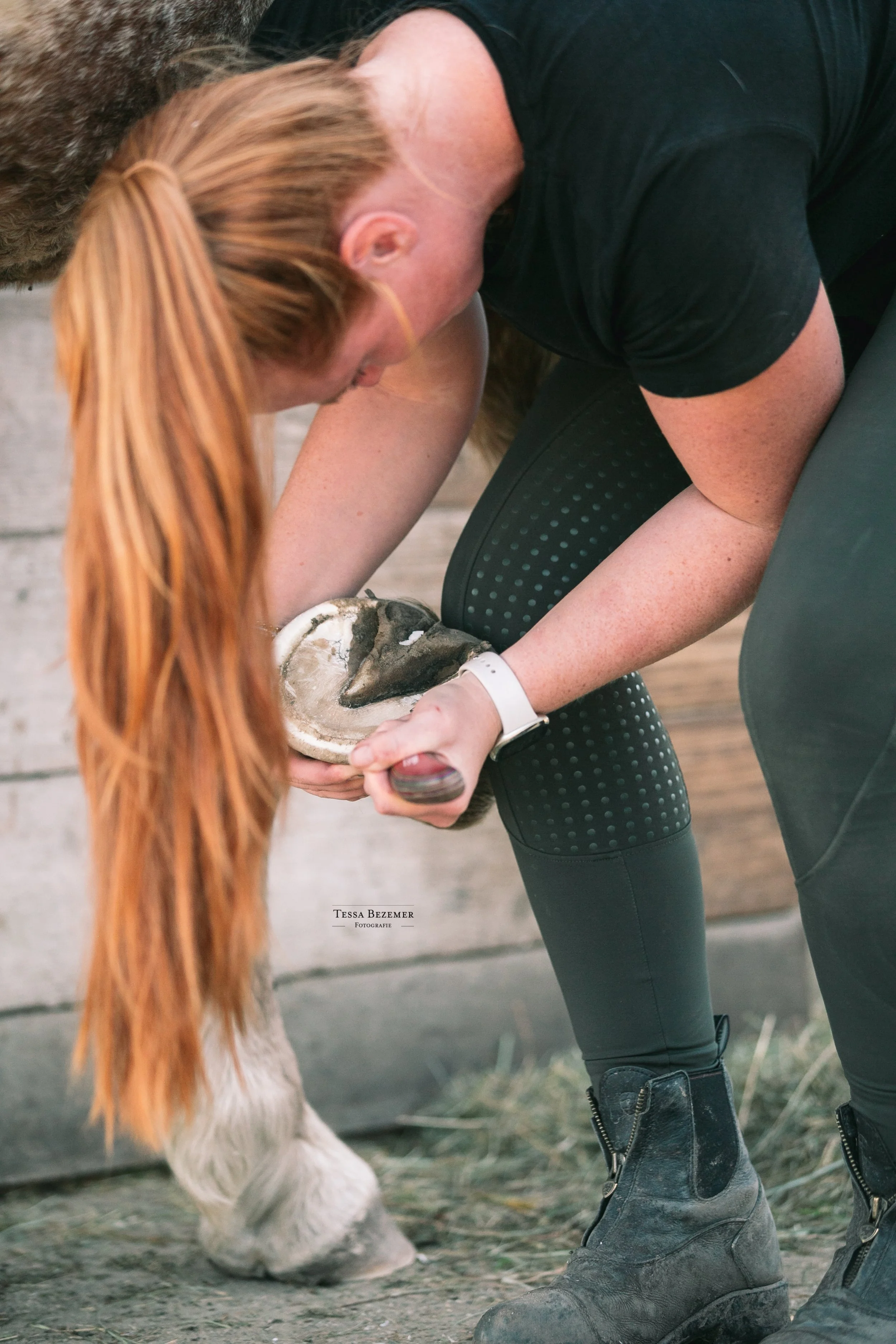 A woman with red hair in a ponytail is tending to a horse's hoof with a hoof pick outside, near a wooden fence, wearing black leggings and boots.