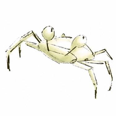 crab-sketch.png