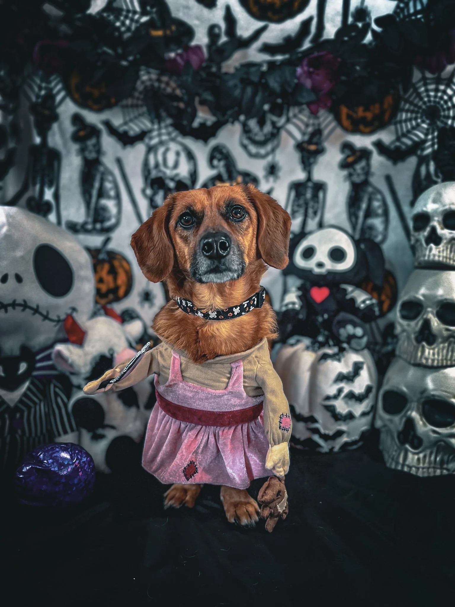 Scooby_Halloween_01.jpg