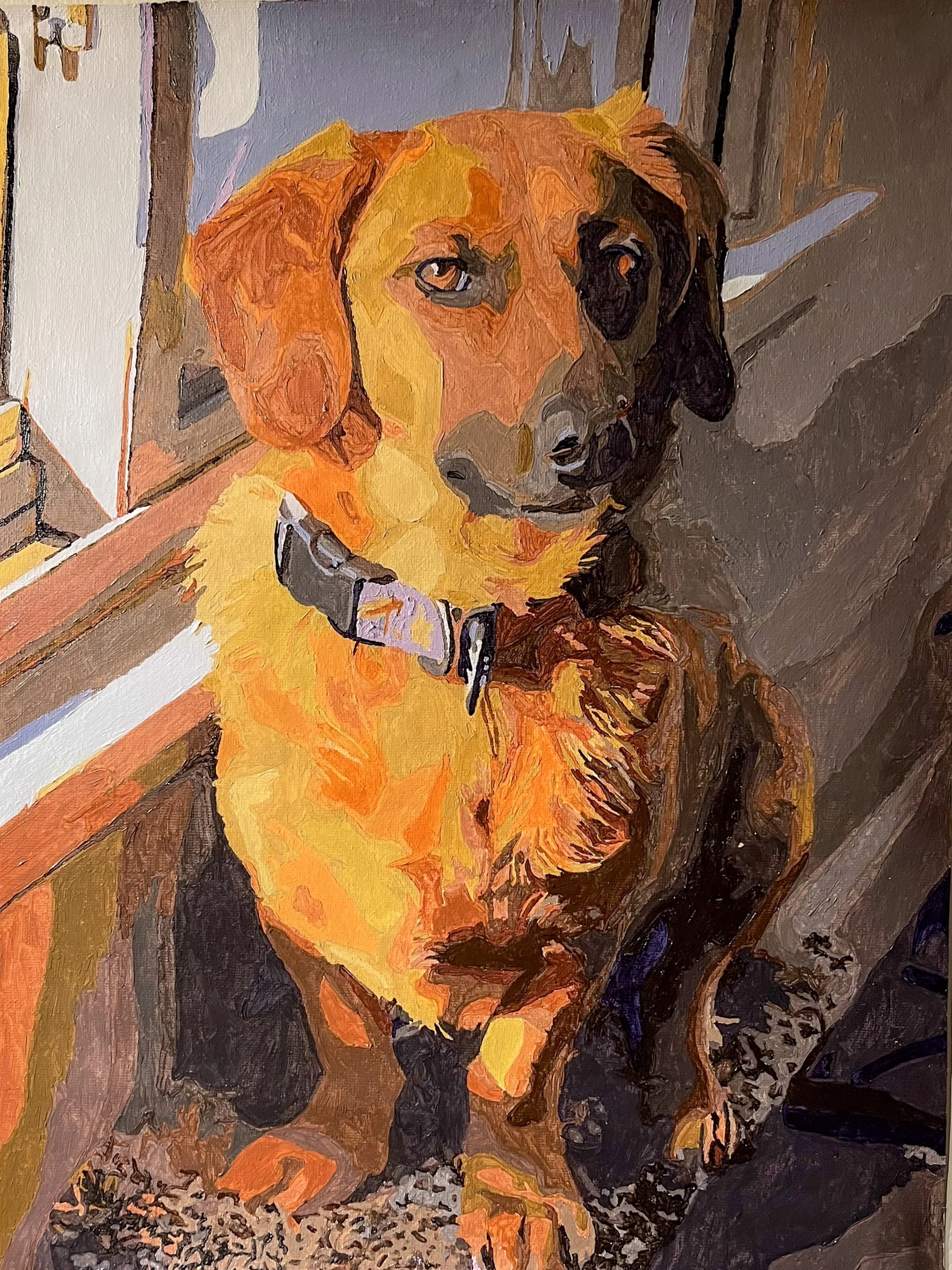 Paint Portraits
