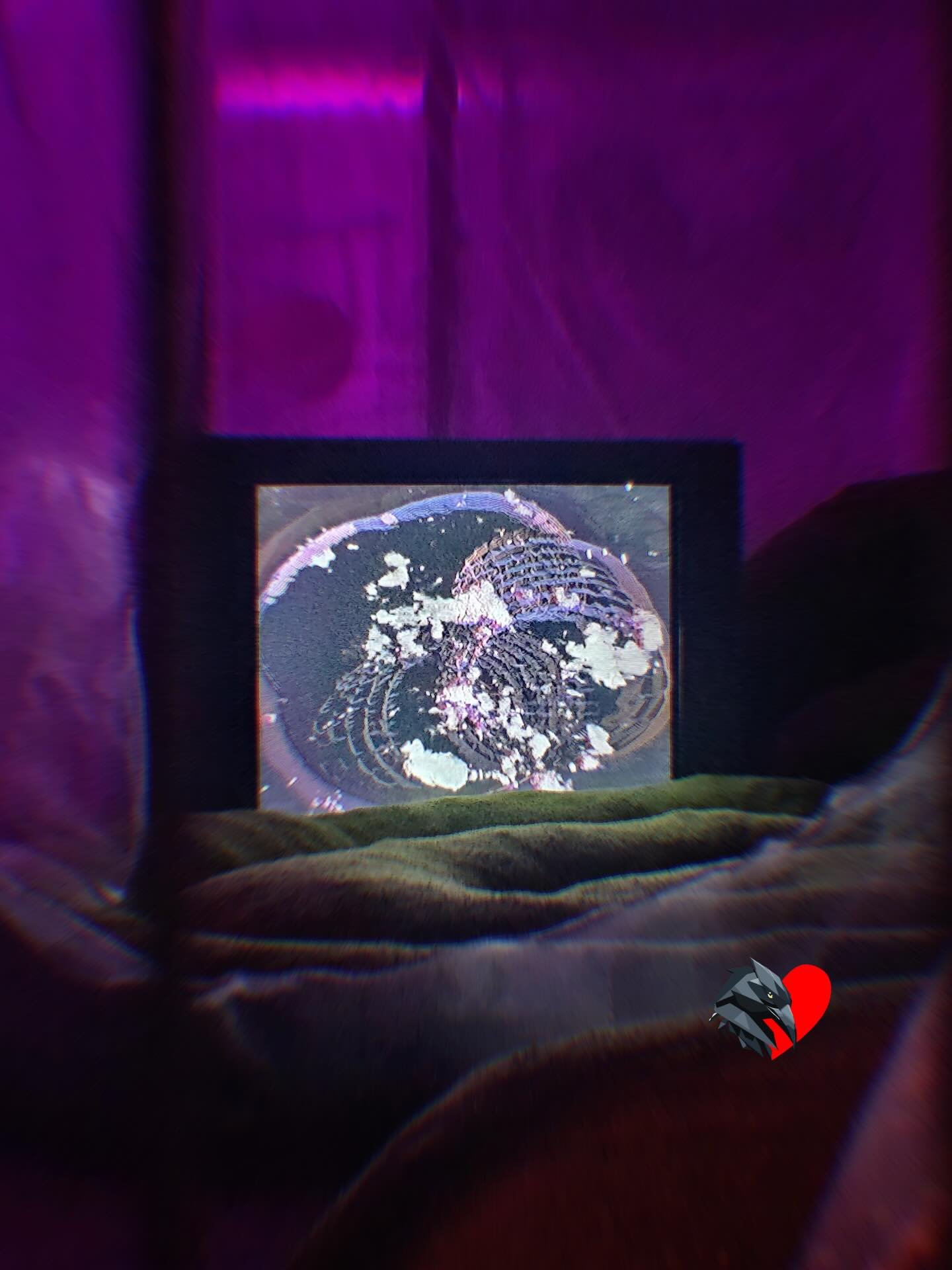 The screen flickers back to life, static fading, colors warming. Ventonium is tuning in again, you can be part of the signal. Want to help shape what&rsquo;s next? Become a volunteer! ☀️

🔗 Link in our bio!