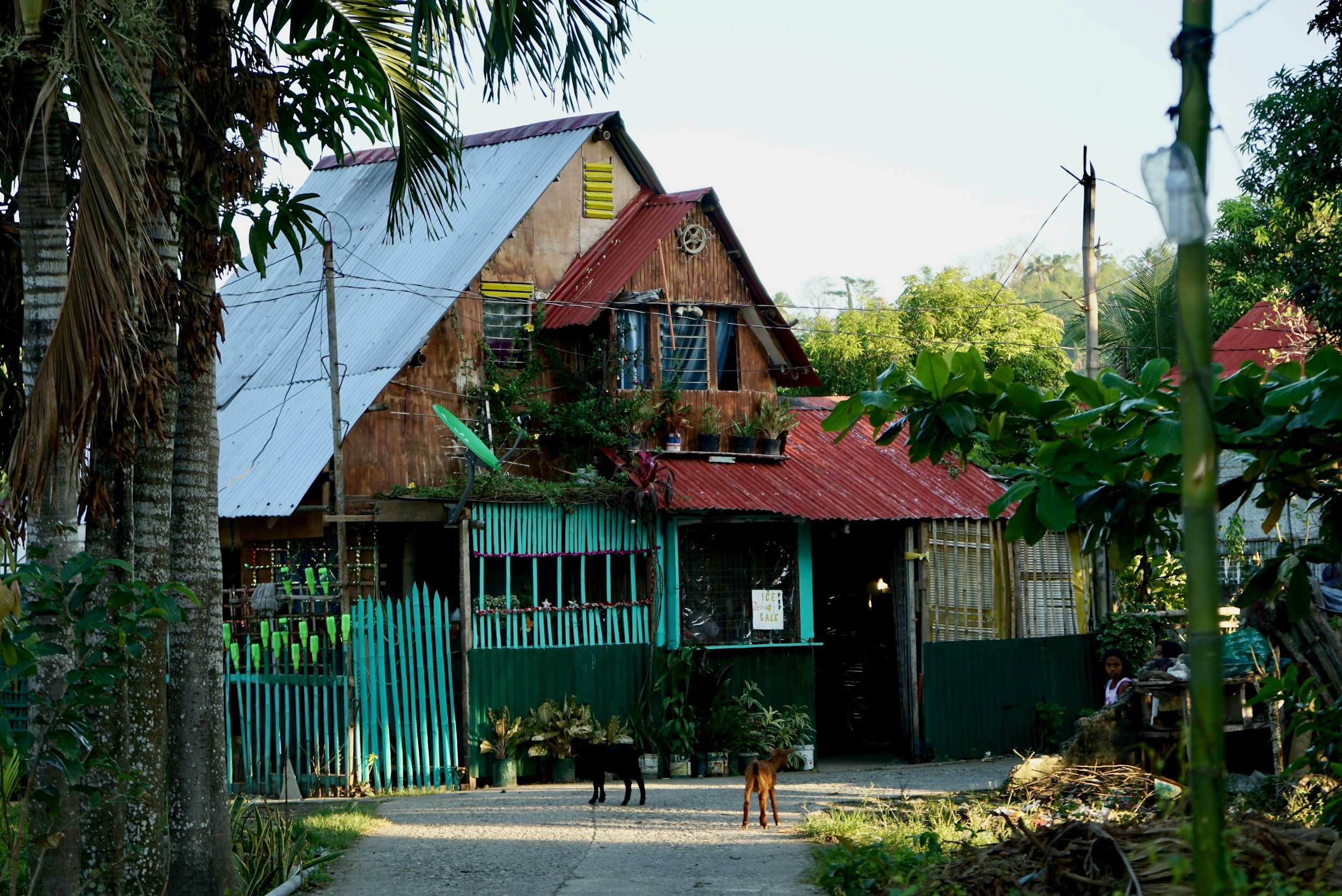 A rustic house with a metal roof, painted in green and brown, surrounded by trees and plants. There are two dogs standing on the dirt road in front of the house, and a person sitting on a bench on the right side. The house has a sign that says 'ICE SALE' and is decorated with potted plants and a satellite dish.