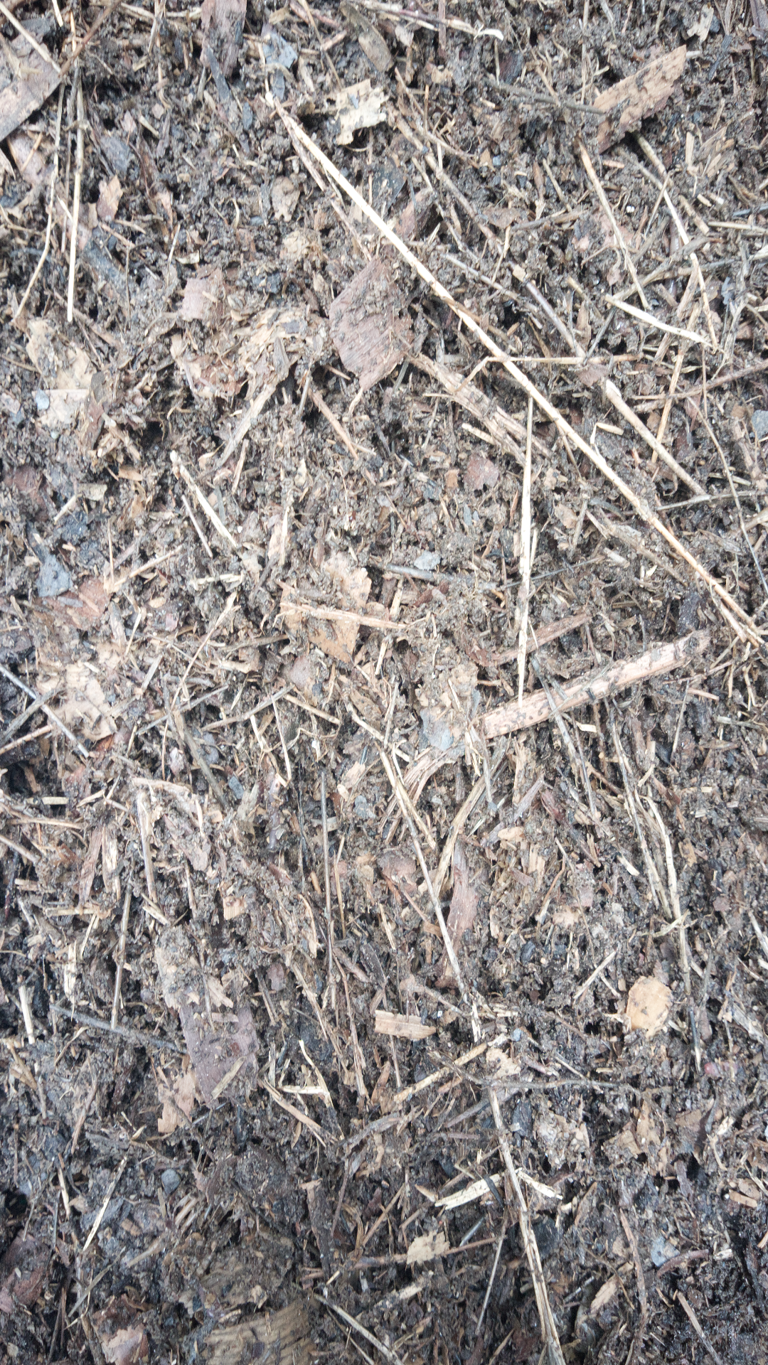 Living soil close-up