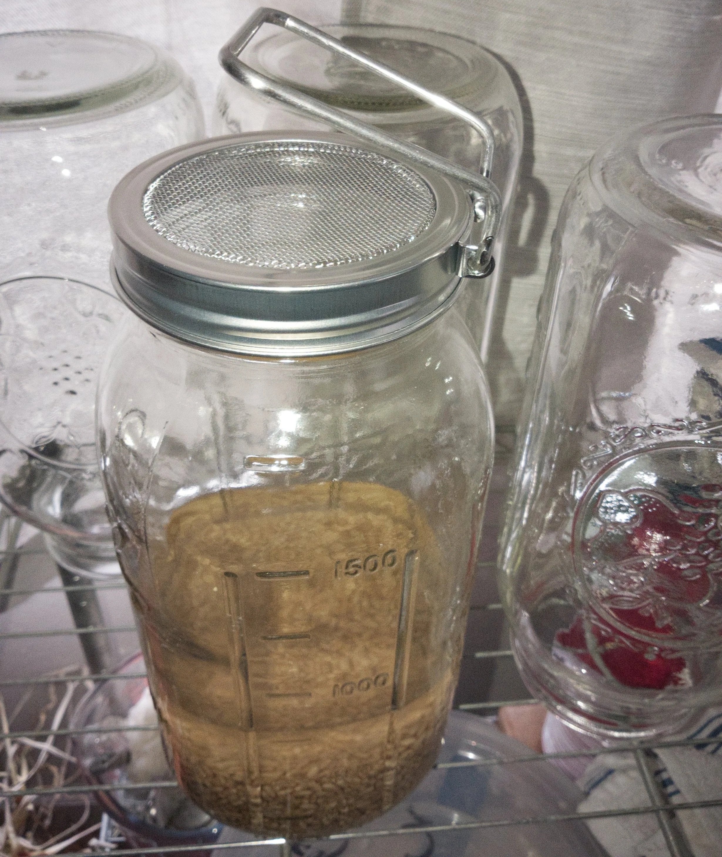 Stainless Steel Seed Sprouting Lid