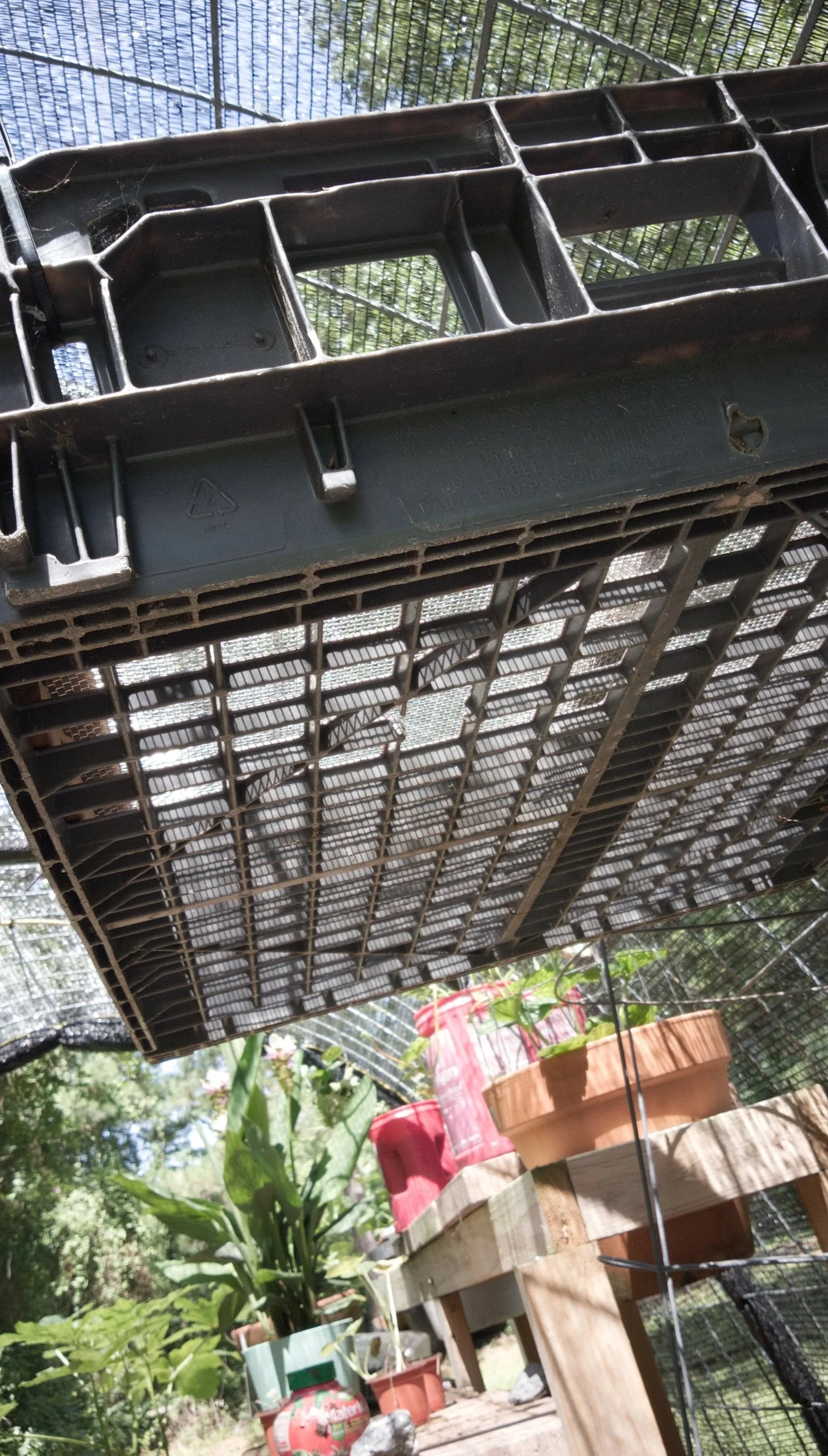 Our Fodder Rack Rebuild: Failing Forward With a Bread Tray