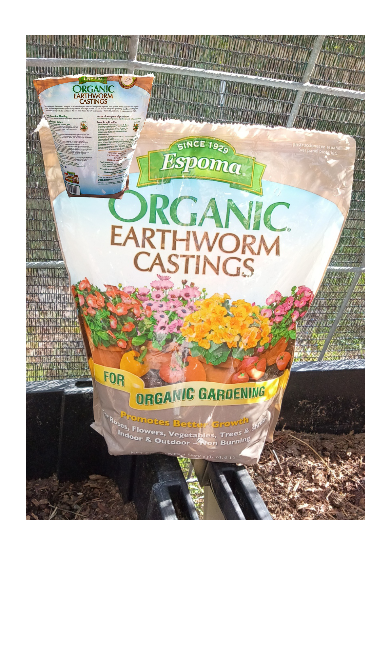 Earthworm Castings Tea