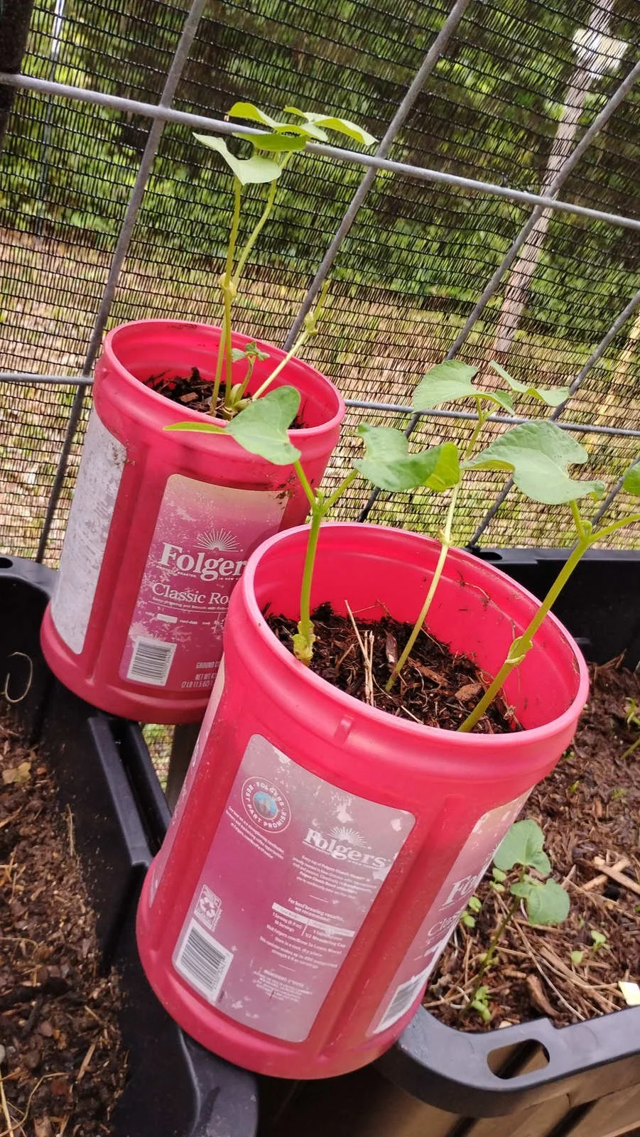 The Bountiful Blessings Bucket