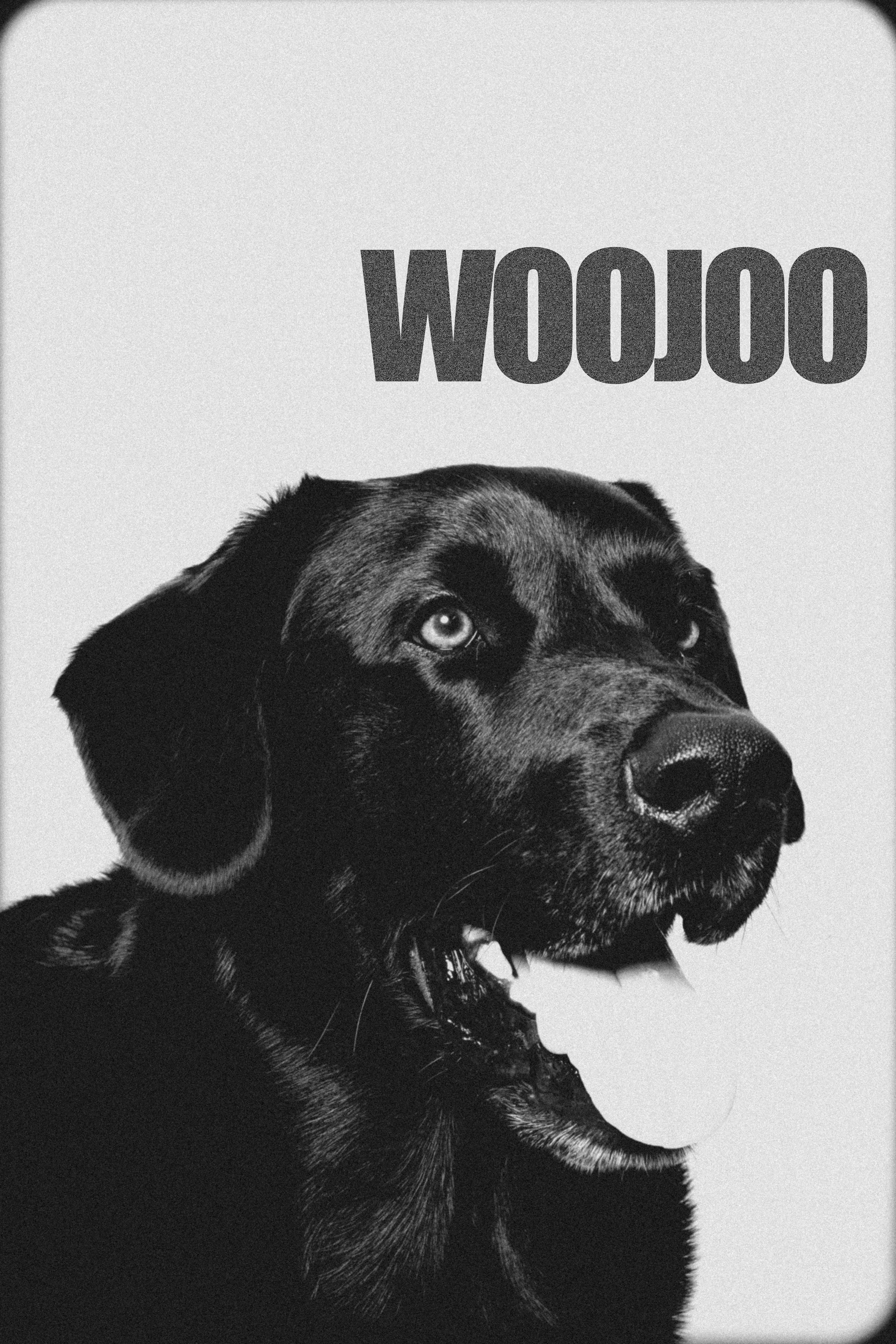 Black and white image of a dog with the word 'WOOJOC' in bold letters above its head.