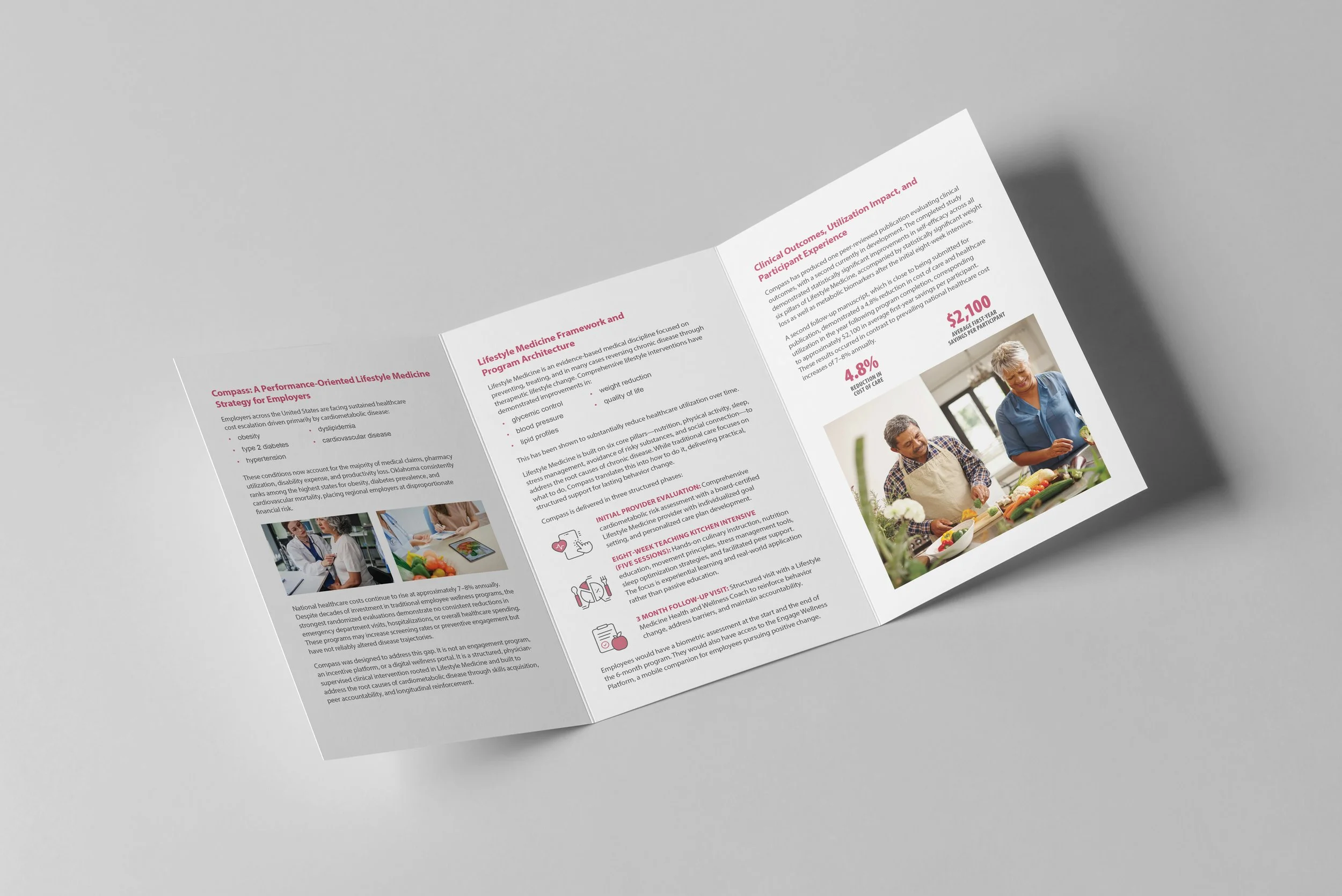 Saint Francis Tri-fold brochure