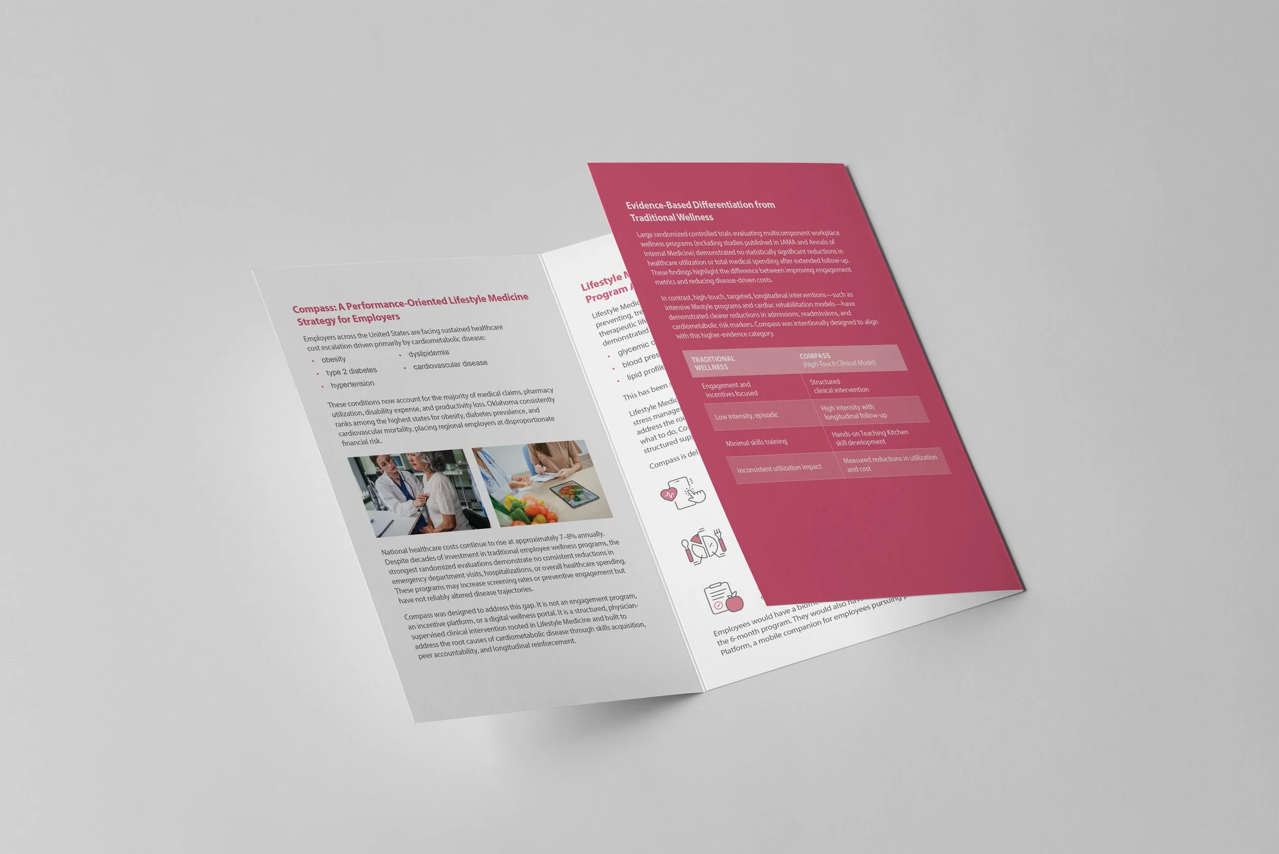 Saint Francis Tri-fold brochure