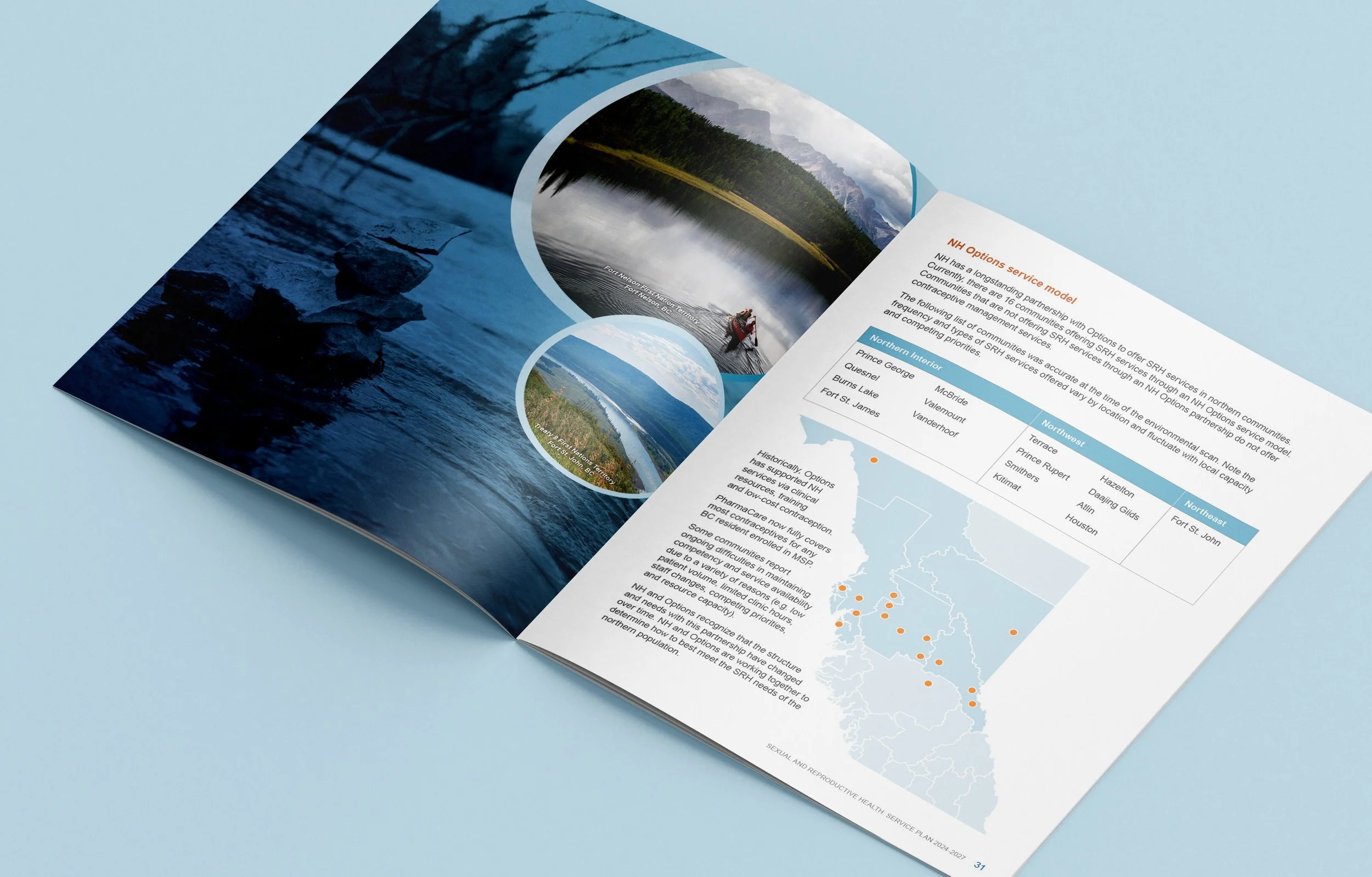 NH_Brochure_Mockup_b.jpg
