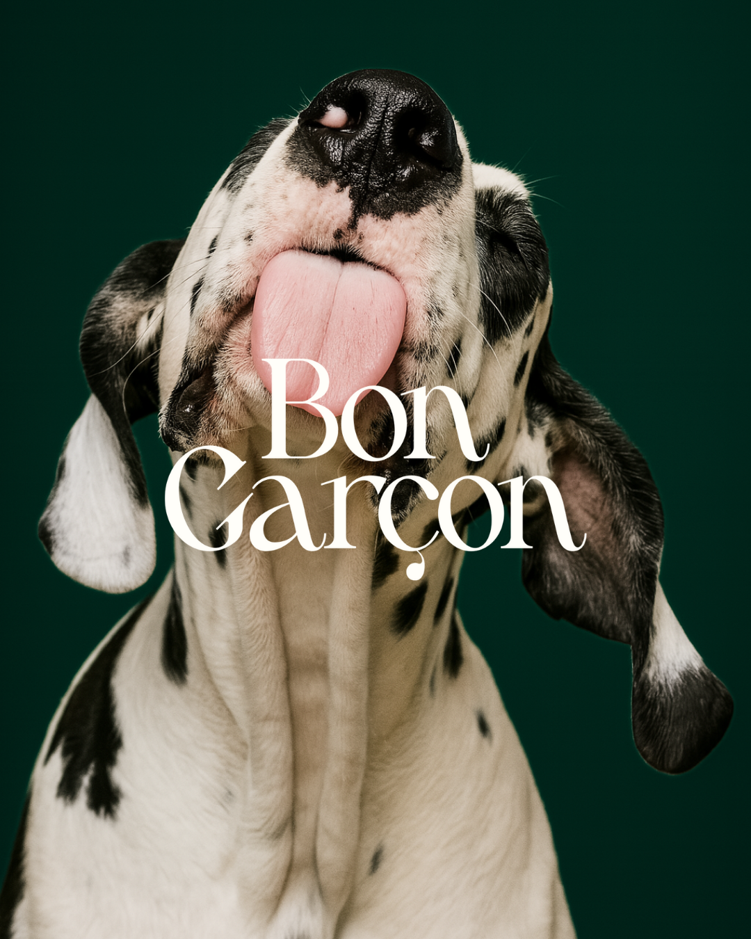 bon_garcon_1.png