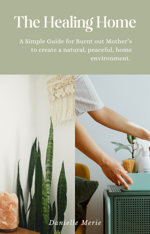 _Ebook Cover for the Healing home.png