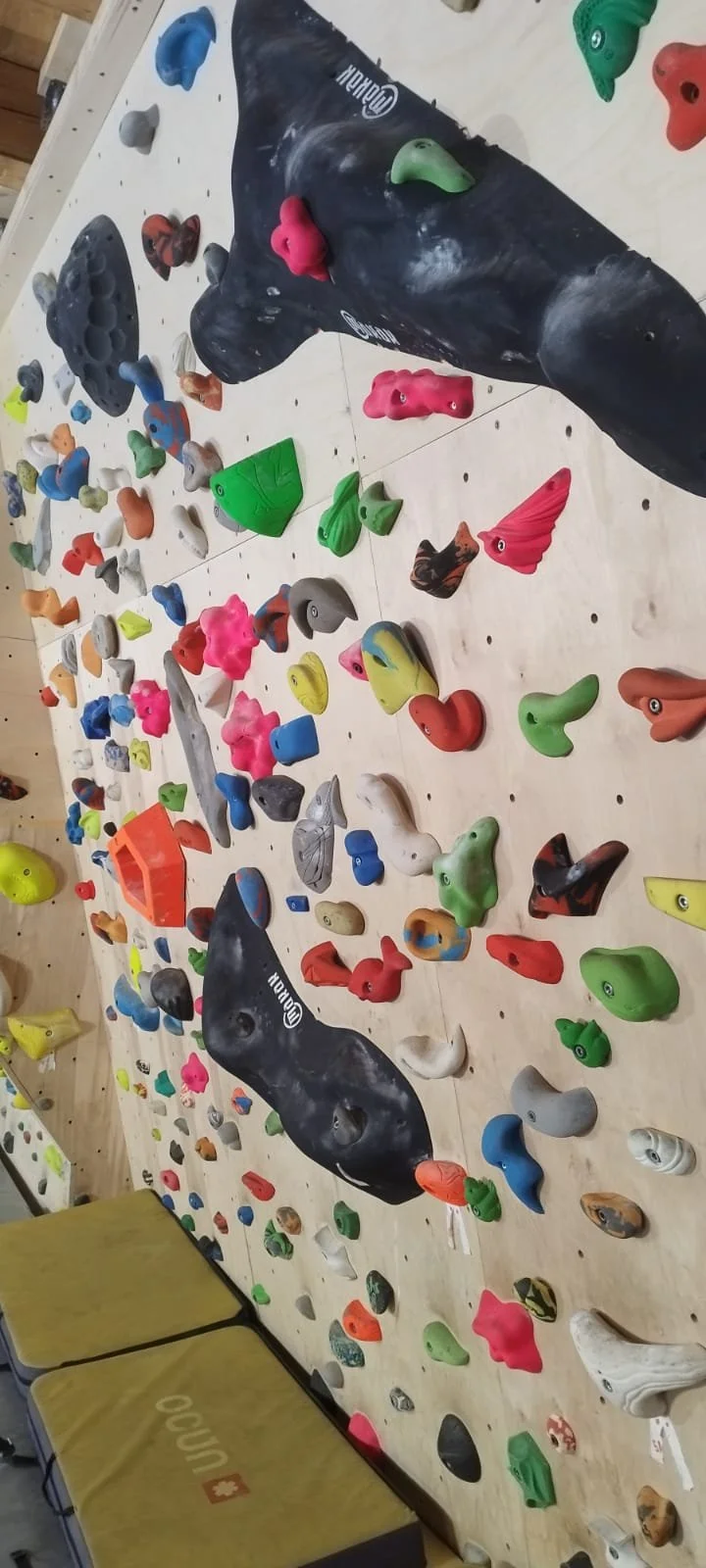 WhatsApp Image 2025-12-04 at 17.00.00 (1).jpeg