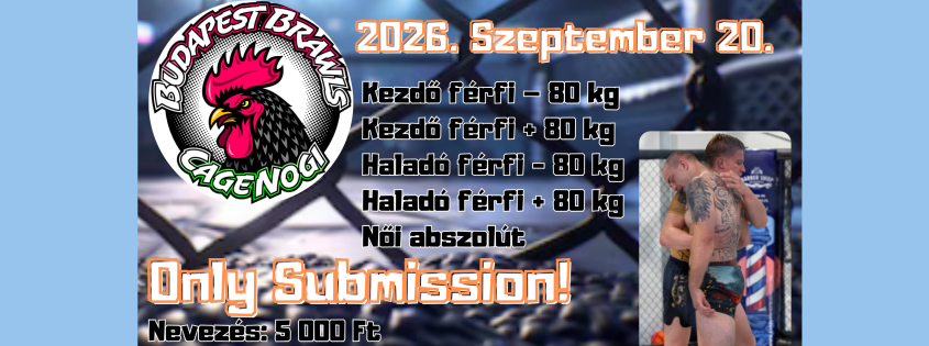 Brawls IX (NoGi Only Submission)