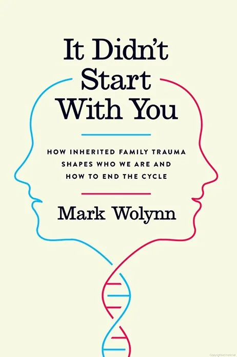 Book cover titled 'It Didn't Start With You' by Mark Wolynn, featuring a DNA double helix outline with a blue and red color scheme.