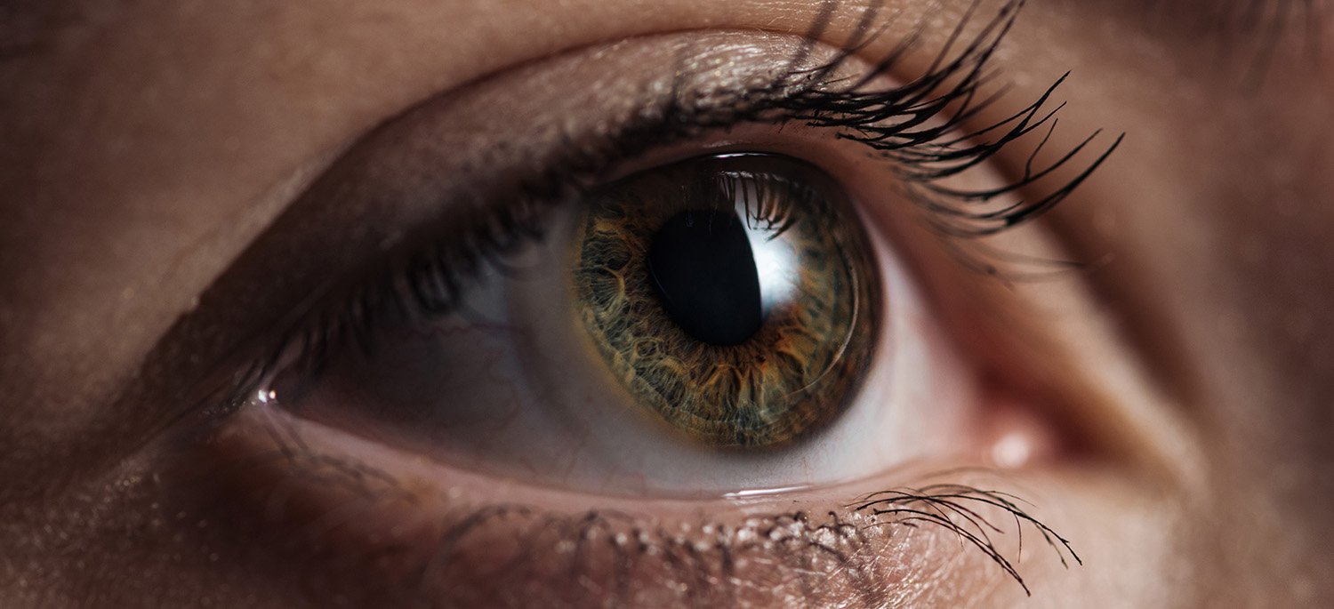 Close-up of a human eye with brown iris and detailed eyelashes.