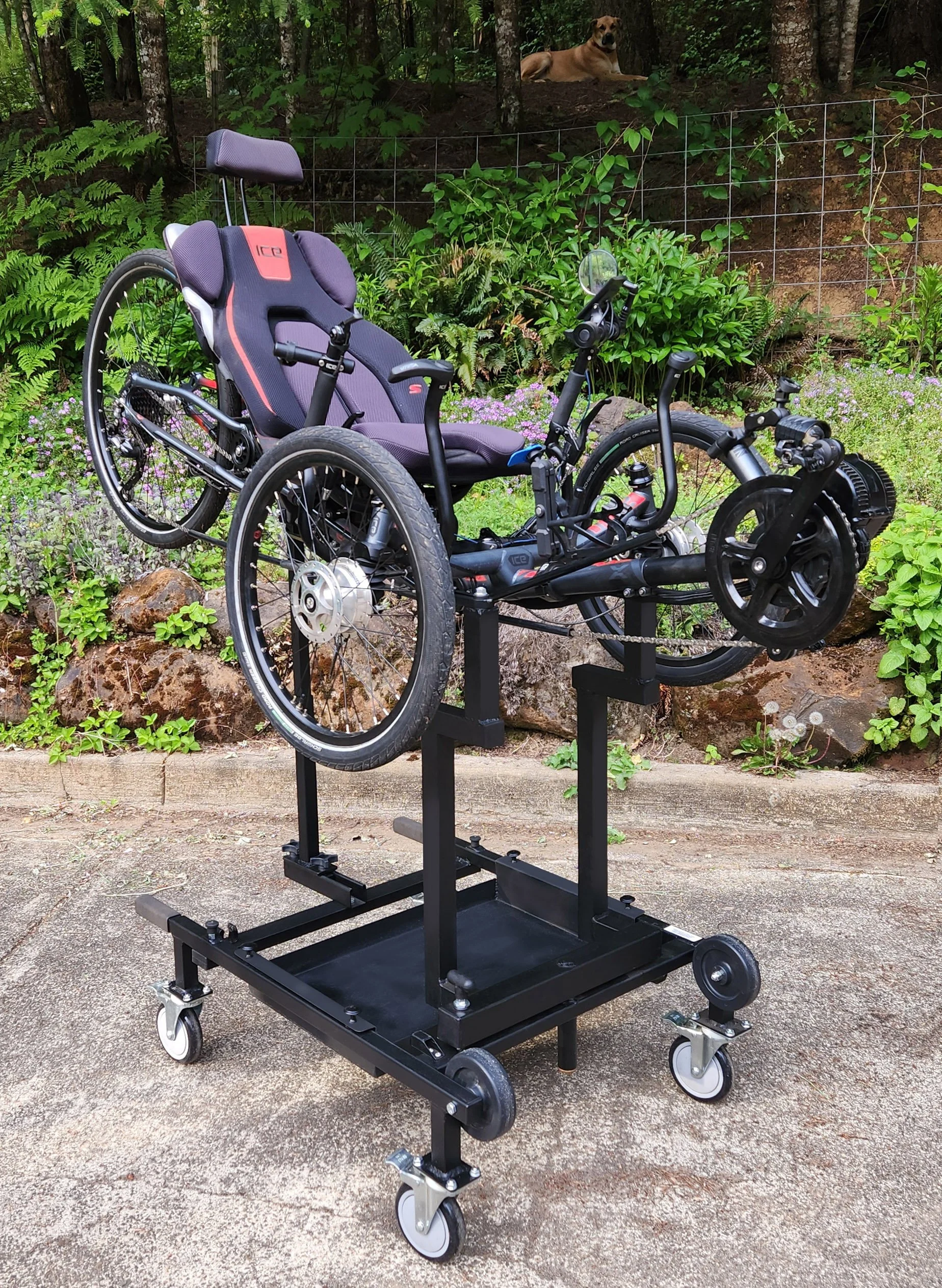 recumbent trike on workstand