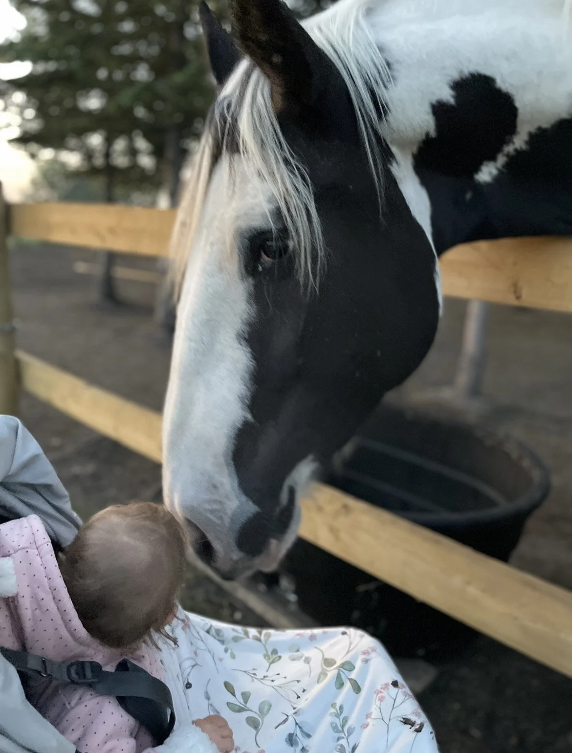 Rethinking Food Talk: Why Neutral Language Matters for Kids’ Relationship with Food