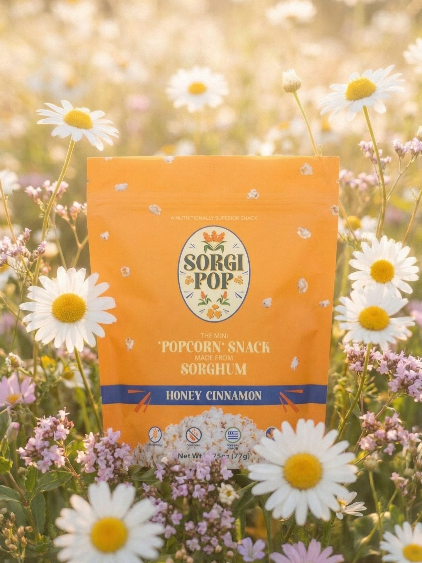 SorgiPop is here and is something you don&rsquo;t want to miss! Check out this healthy alternative to popcorn! Get free shipping when you order 4 bags today! #sorgipop #snack #spring #popcorn #food