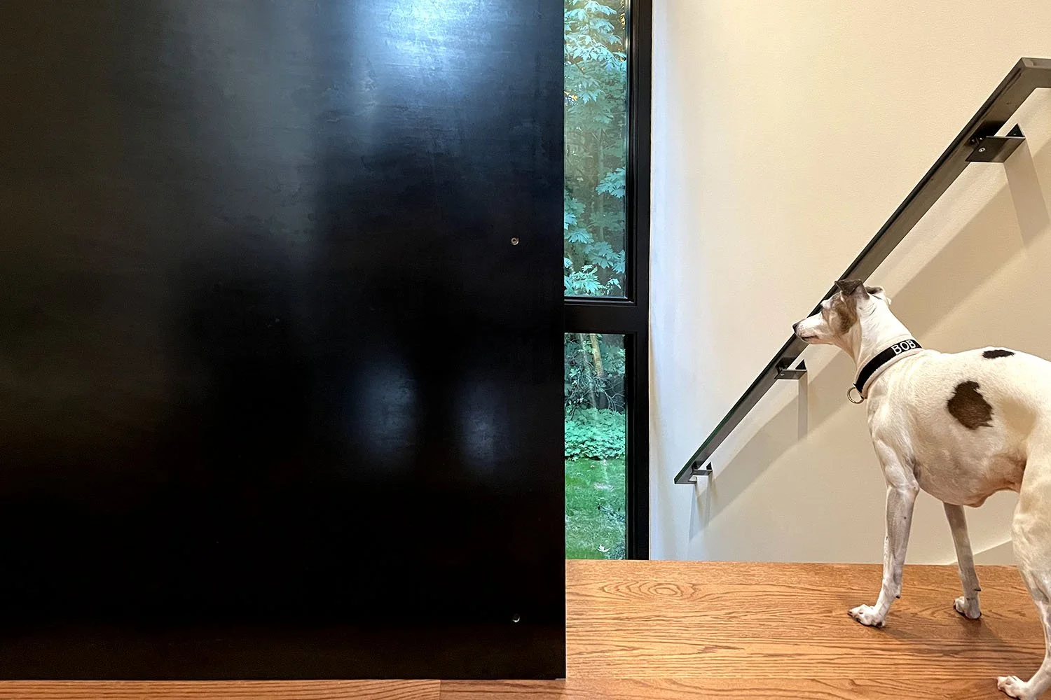 Greenbelt_Stair-Moderndog.jpg
