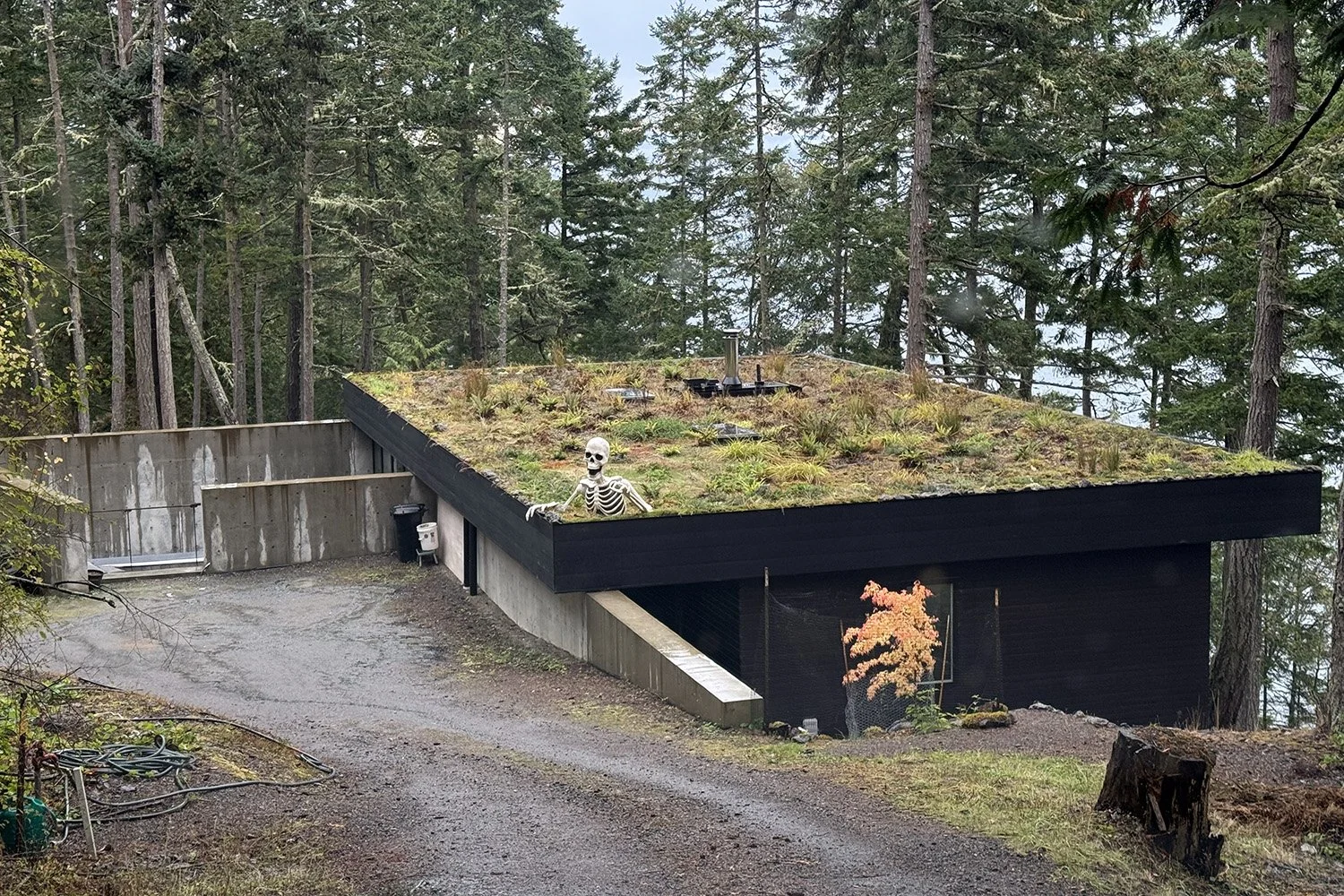 Daybreak_Green-Roof-Halloween.jpg