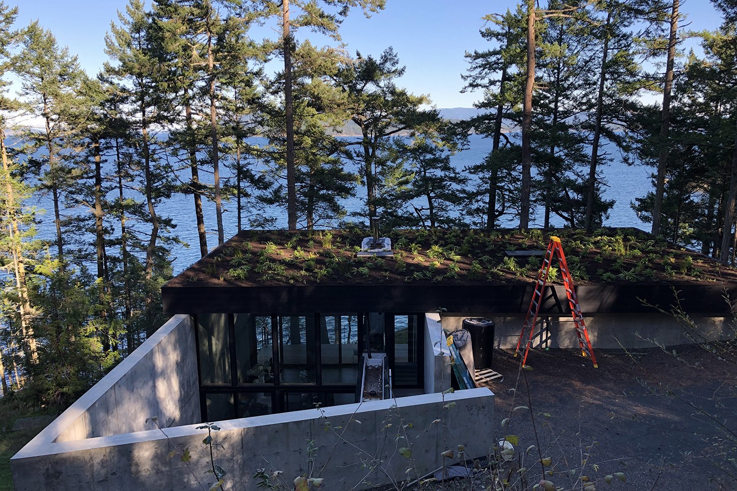 Daybreak_Green-Roof-Planting.jpg