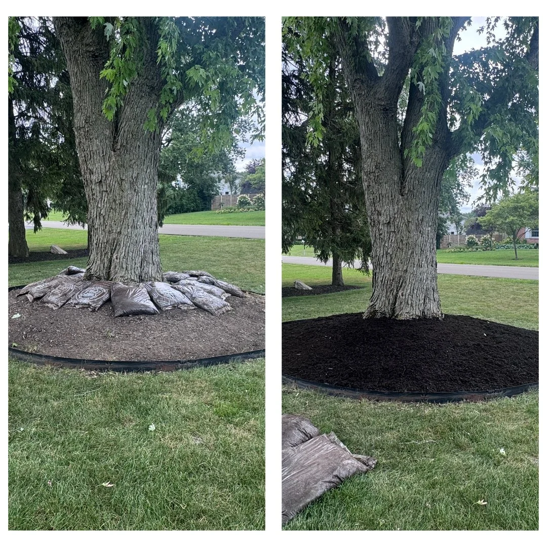 Mulch Before After.jpg