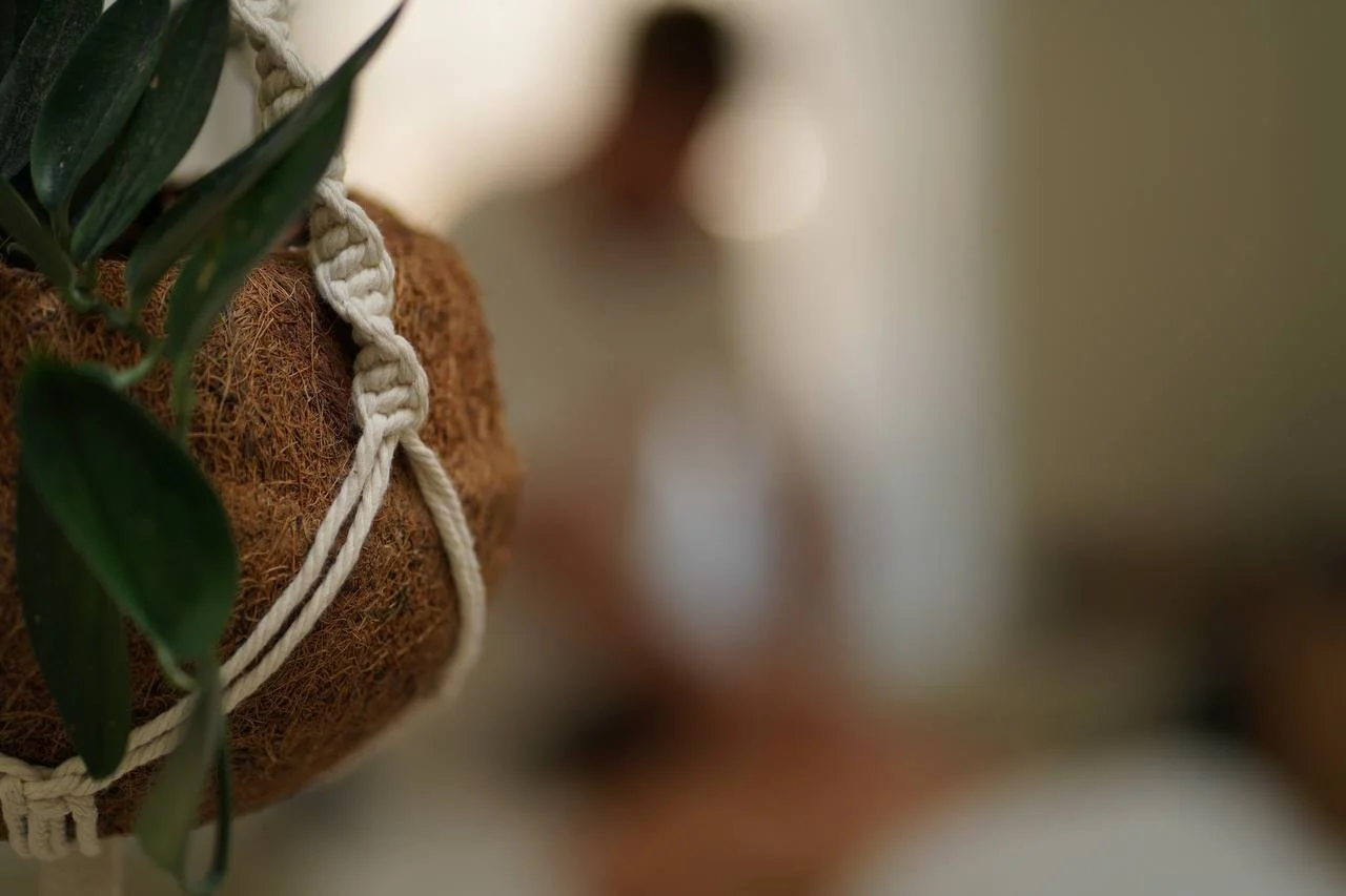 Hanging planters with green plants and a blurred person in the background.