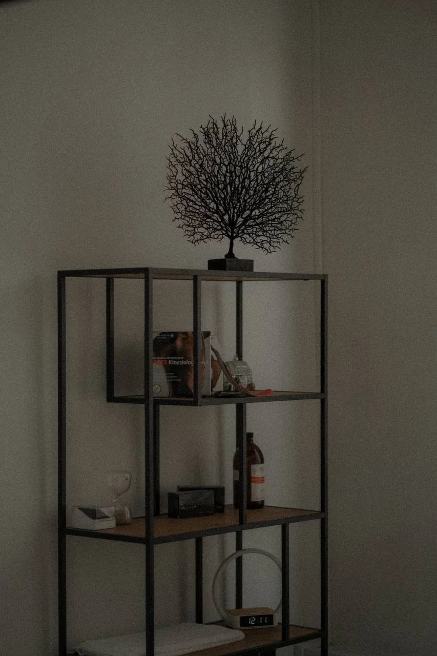 A black metal and wooden bookshelf with a decorative tree sculpture on top, a book, and various small objects on its shelves, against a plain wall.