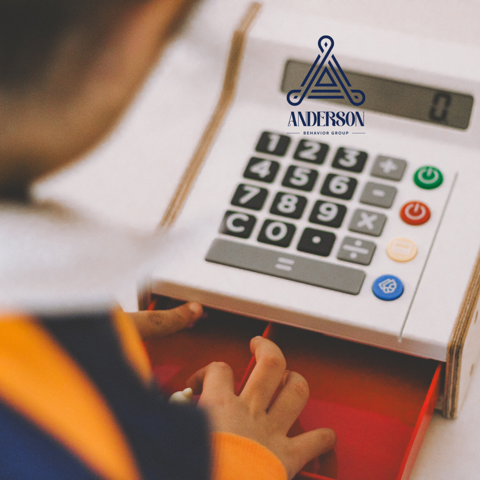 Anderson Behavior Group