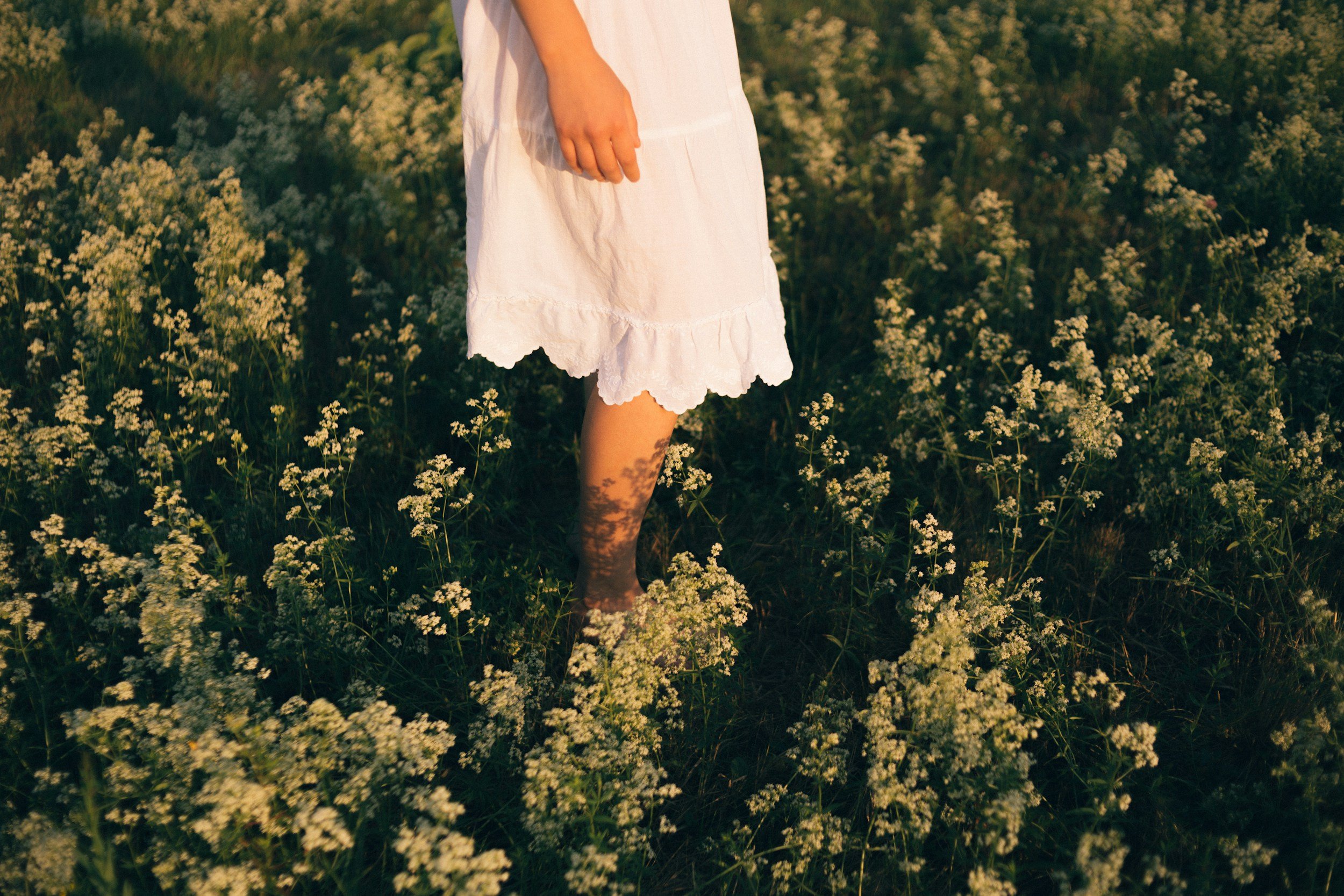 Person wearing a white dress standing barefoot in a field of small white flowers during sunset.