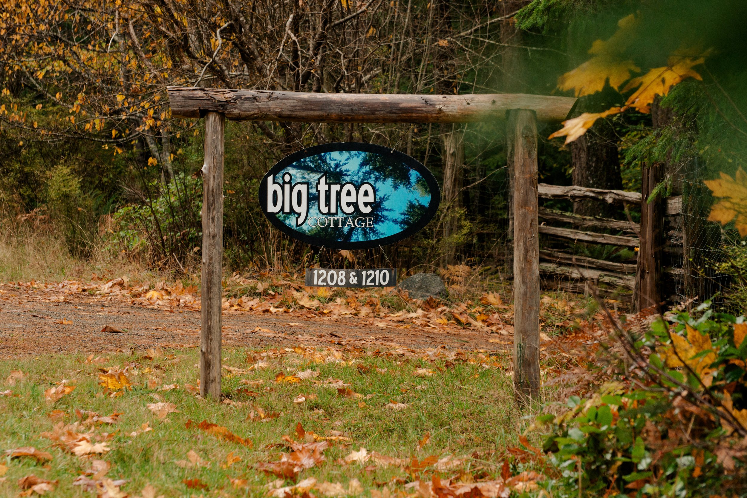 Where to Stay on Quadra Island for Nature Lovers