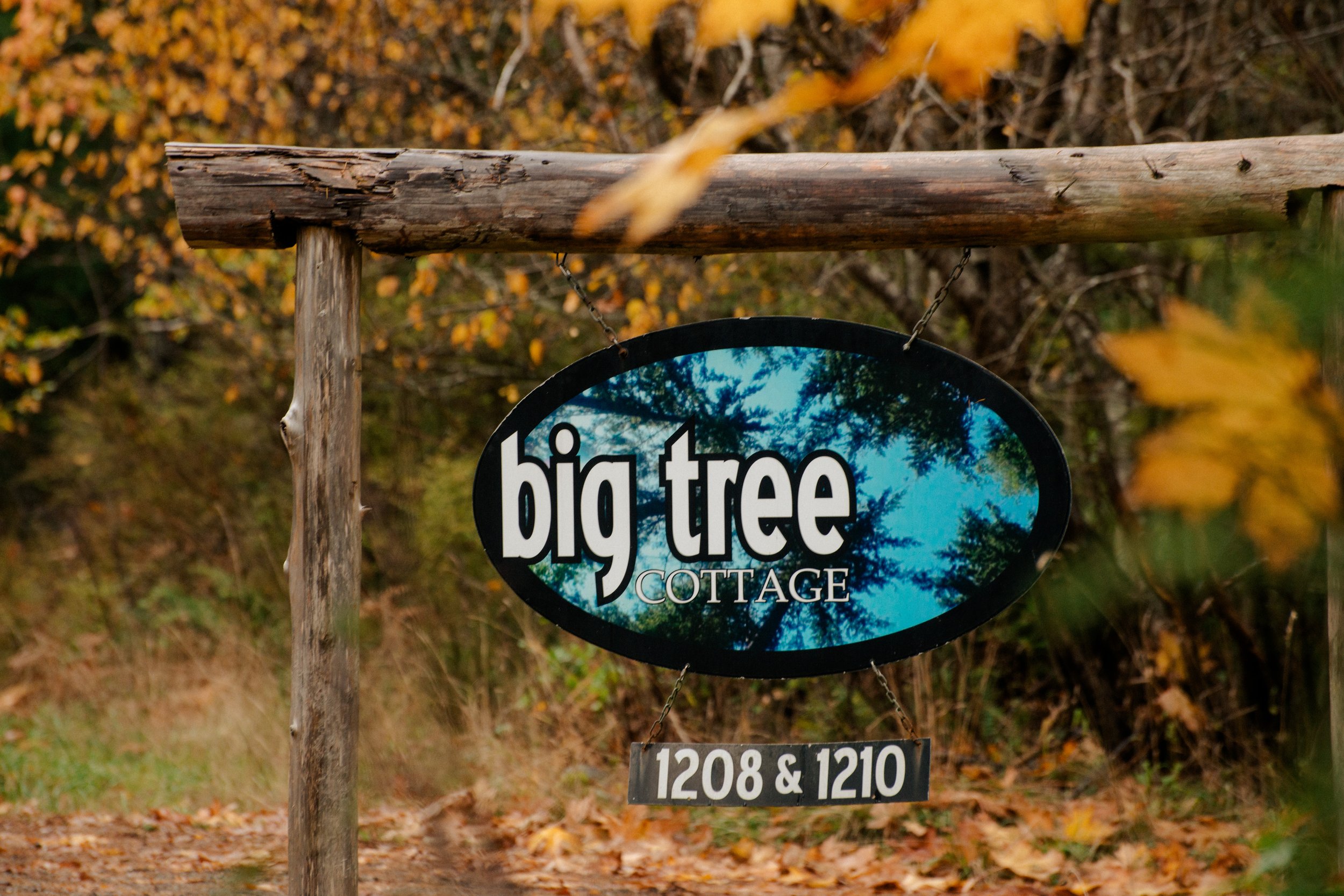 Why Big Tree Cottage is the Best Basecamp for Adventure on Quadra Island