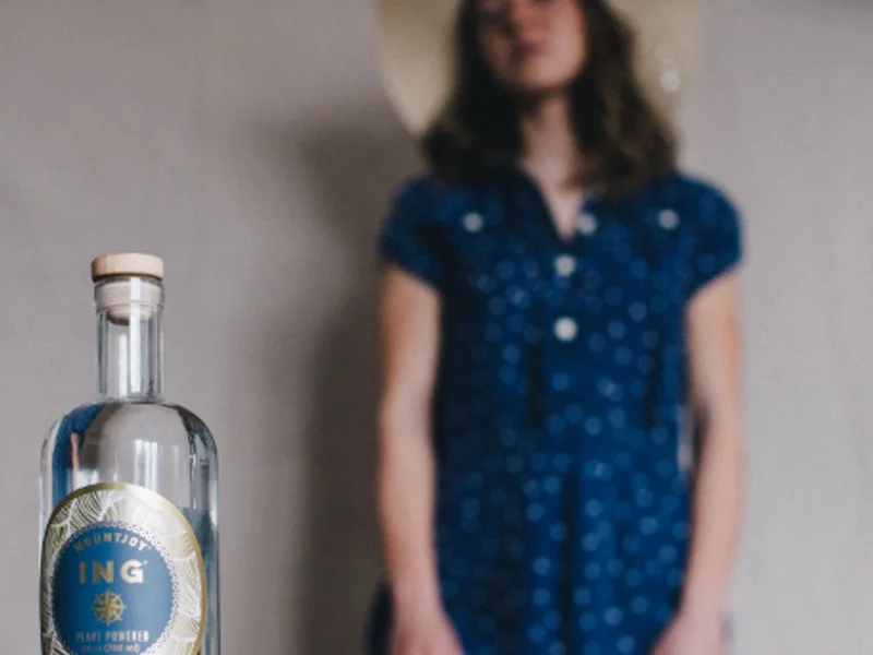 ingbluedress.jpg