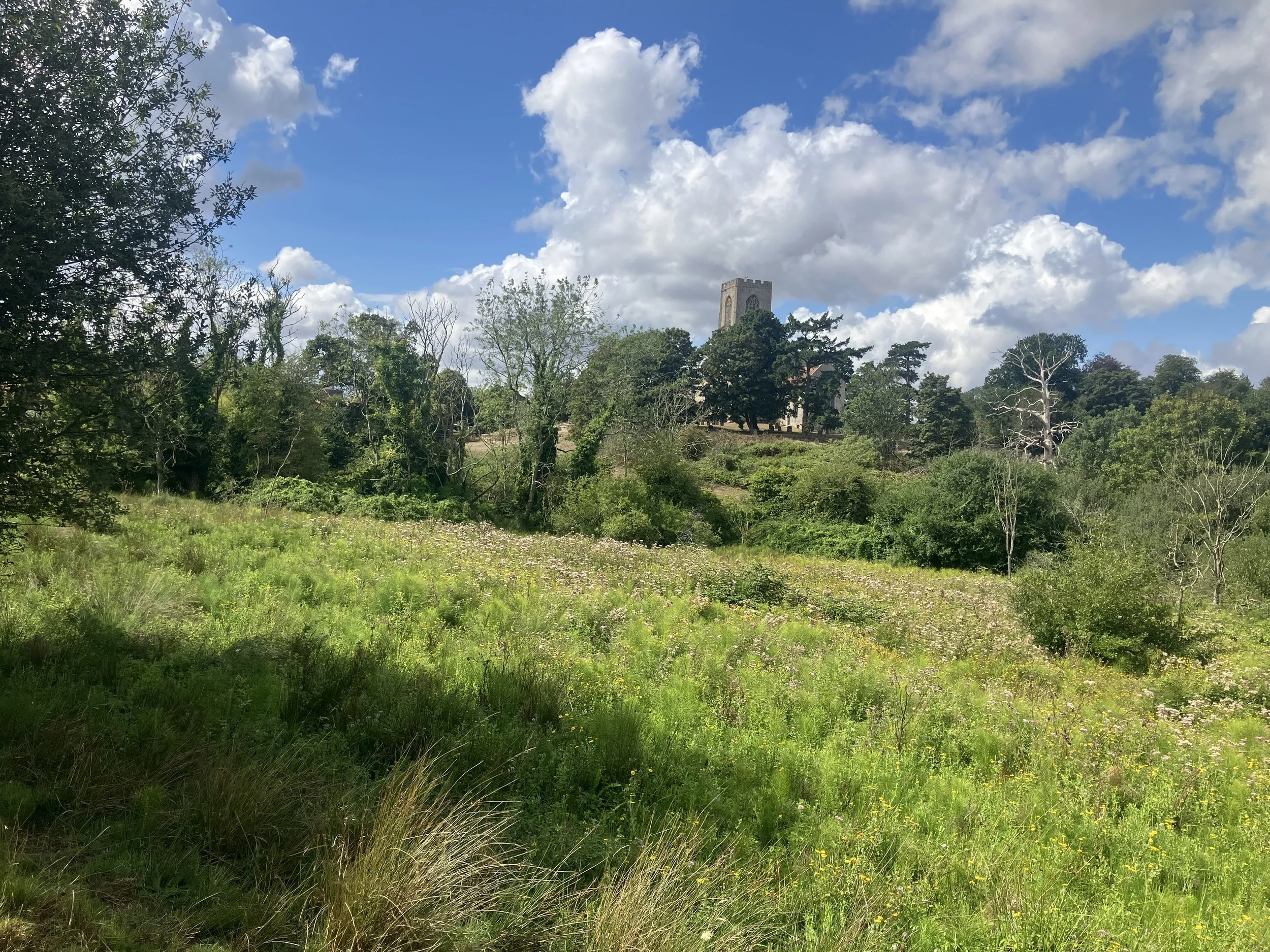 Meadow walk
