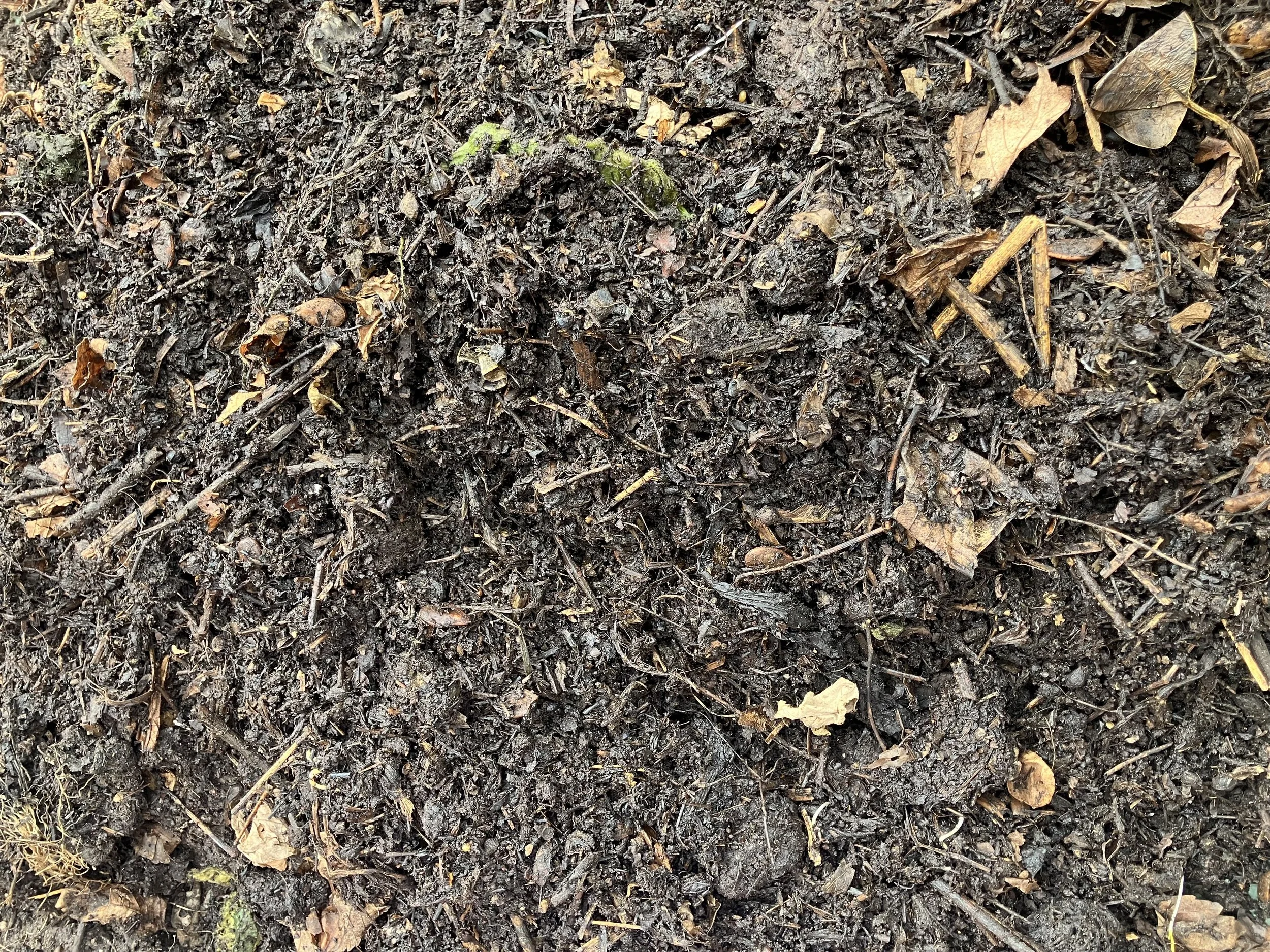 Homemade compost