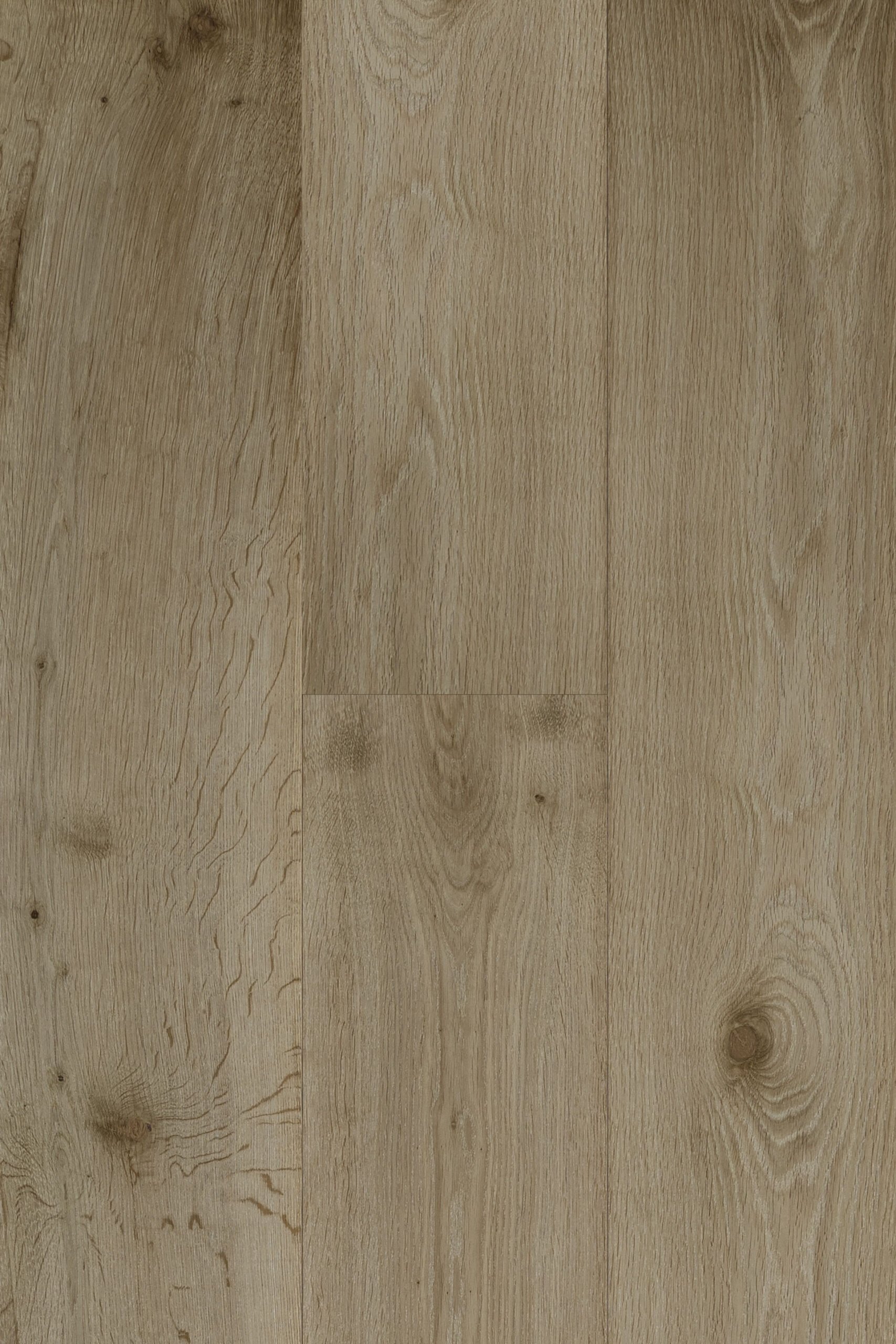 Carrera_LARIVA-scaled.jpg