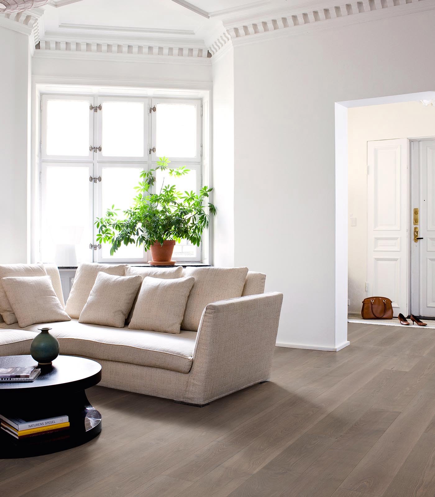 Sala de estar con sofá beige, maceta con planta en la ventana, mesa de centro con libros y decoración, y entrada con bolso y zapatos.