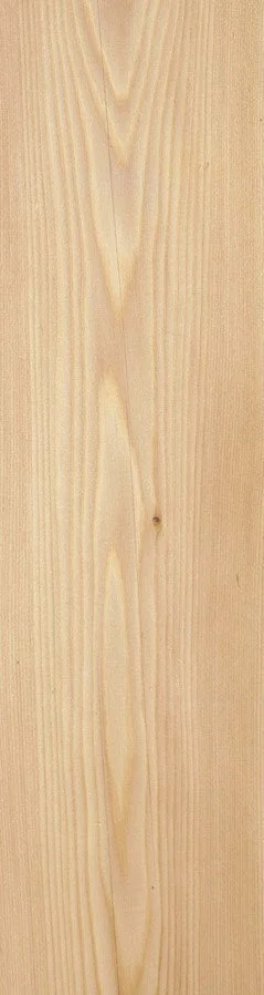 Pino Alerce Siberiano